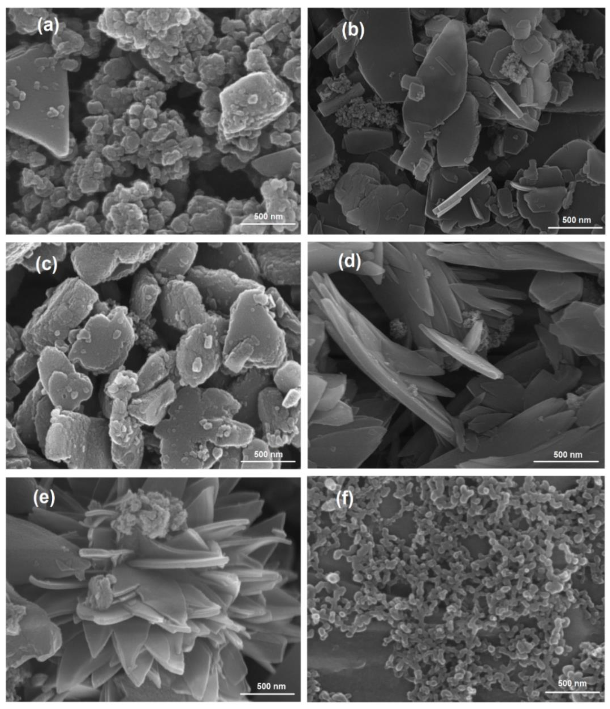 Molecules 26 03598 g003 Molecules 26 03598 g003