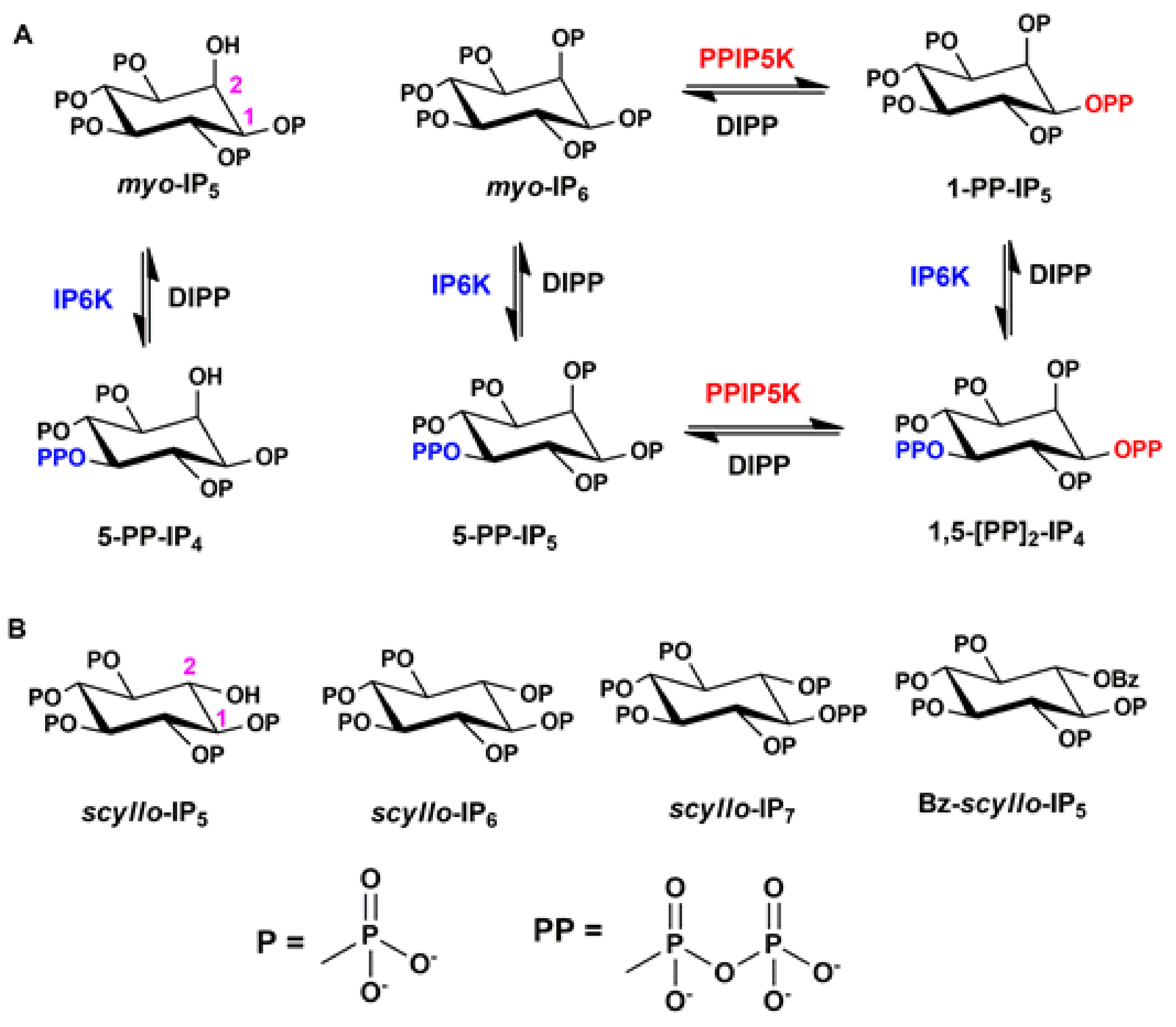 Molecules 26 03601 g001