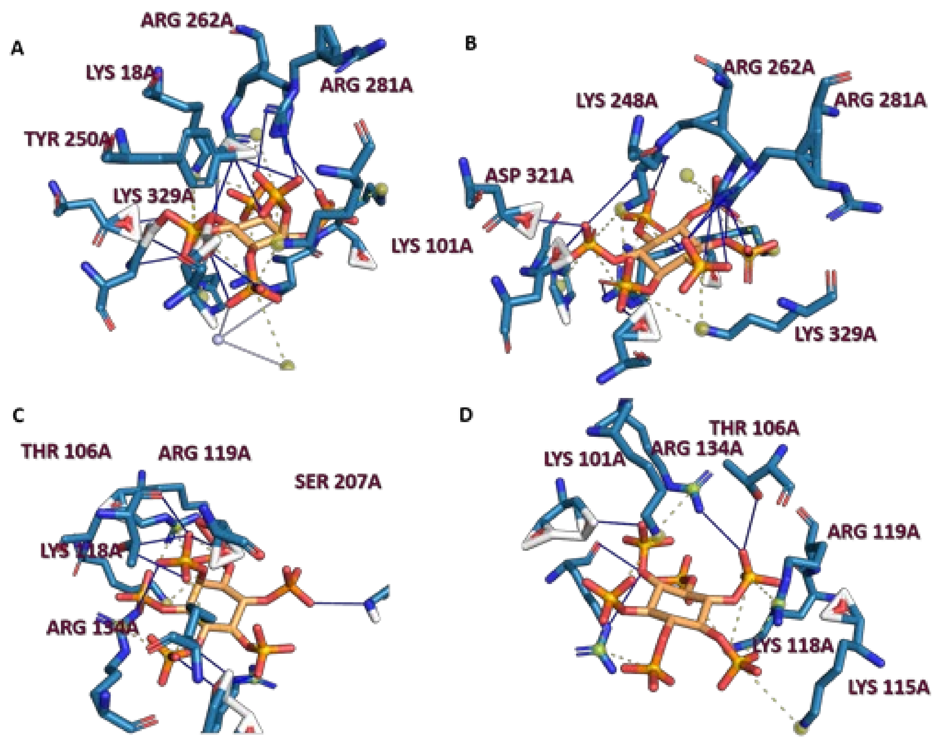 Molecules 26 03601 g004