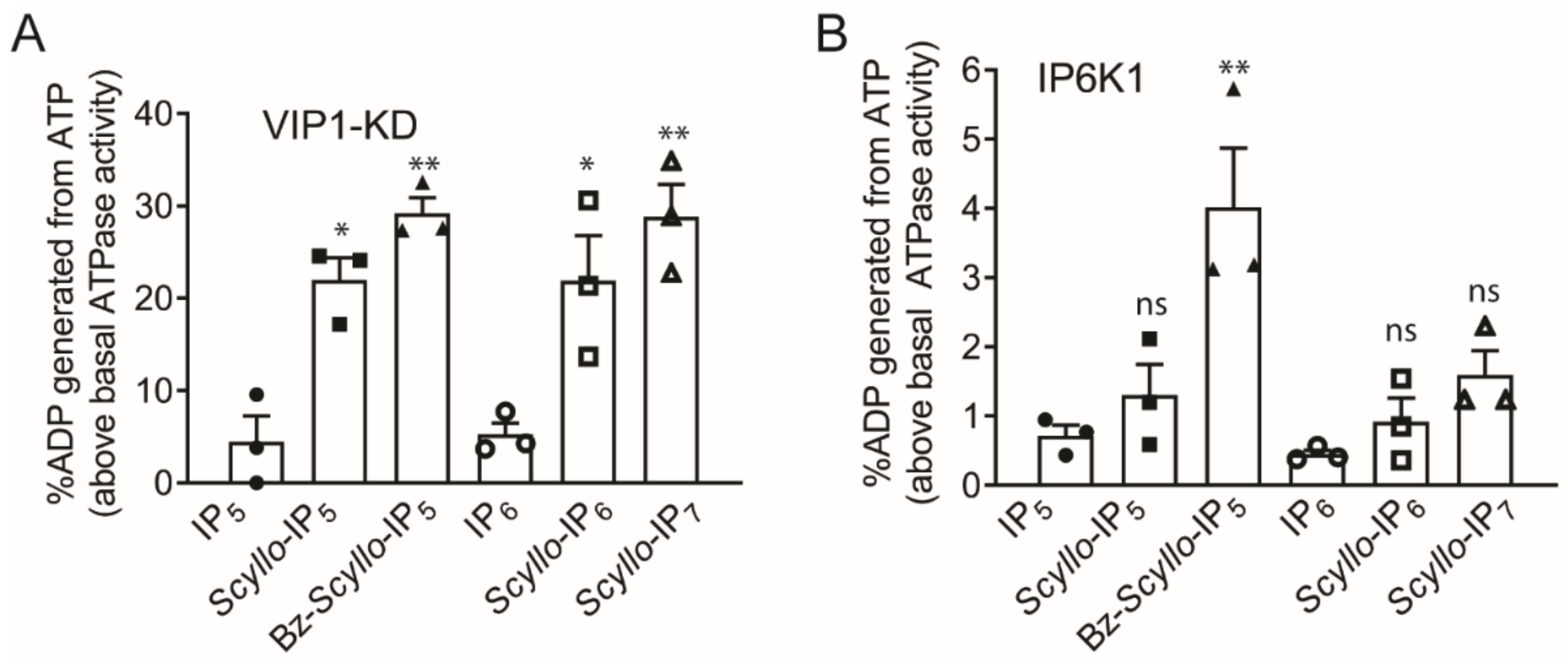 Molecules 26 03601 g006