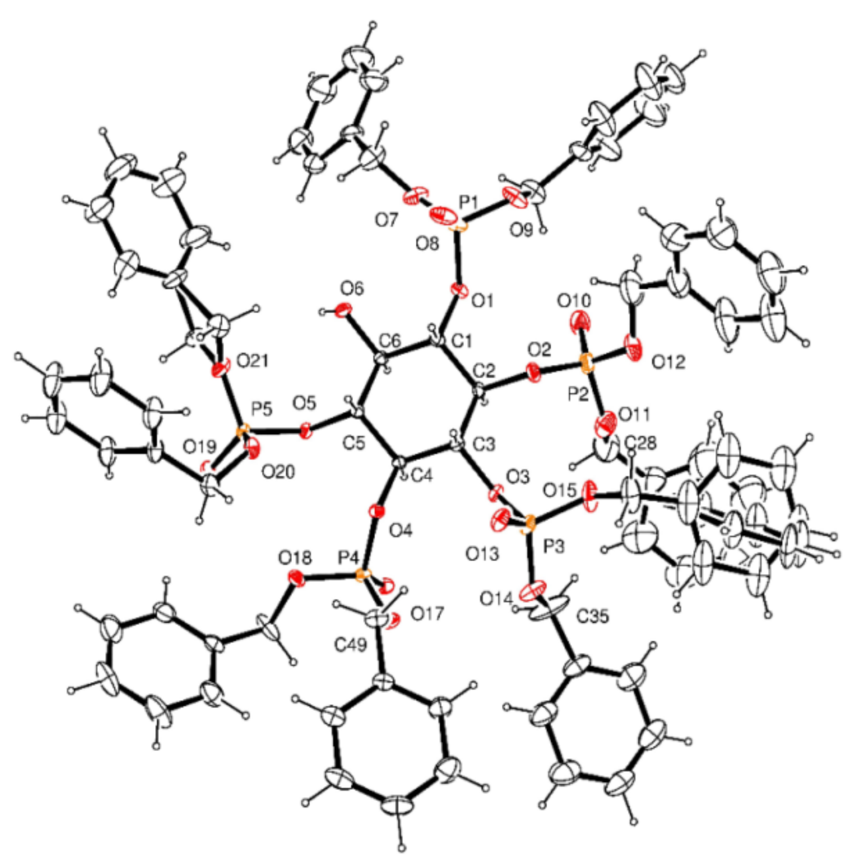 Molecules 26 03601 g007