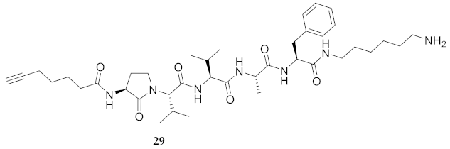 Molecules 26 03606 i016 Molecules 26 03606 i016