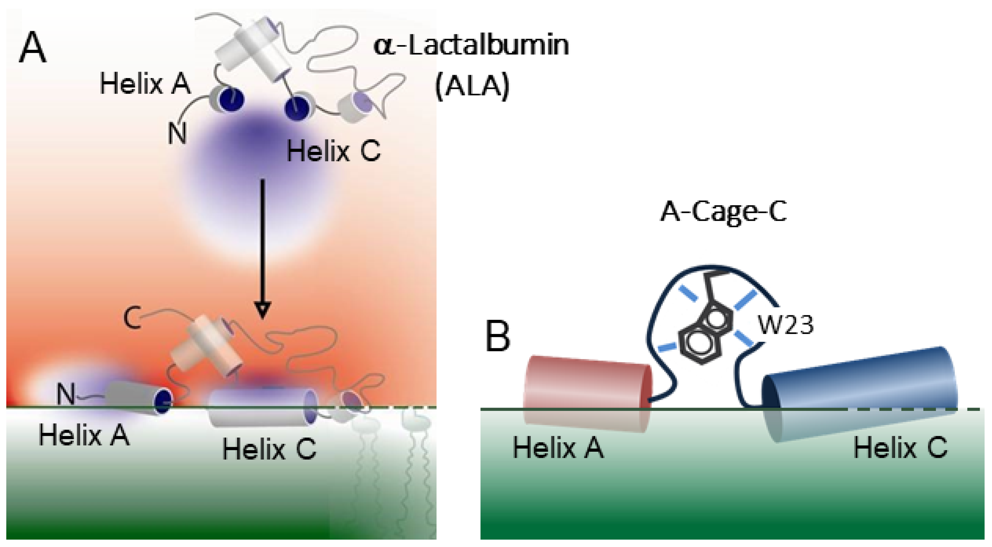 Molecules 26 03607 g001