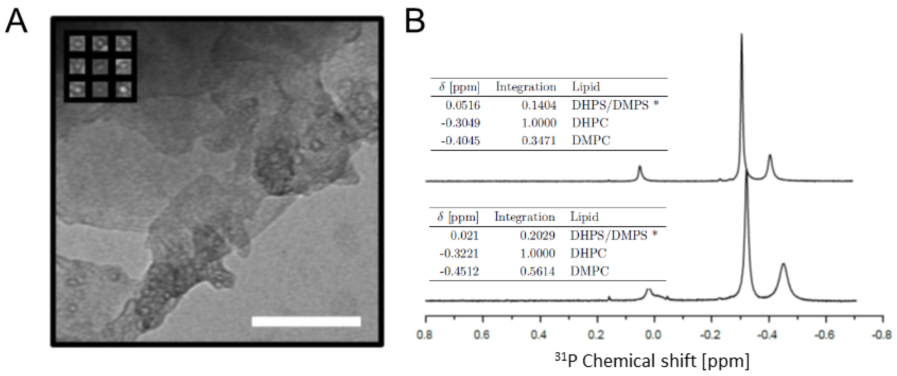 Molecules 26 03607 g004