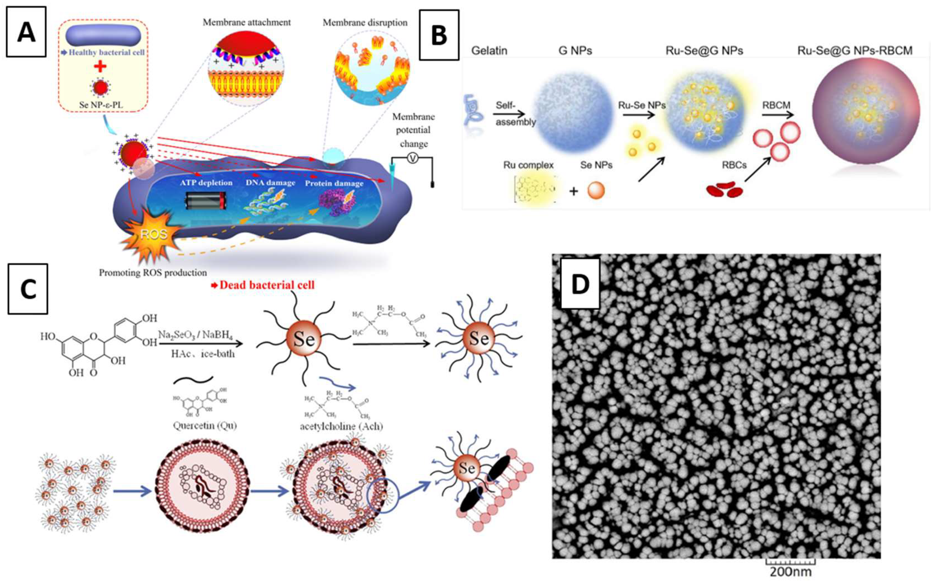 Molecules 26 03611 g002 Molecules 26 03611 g002