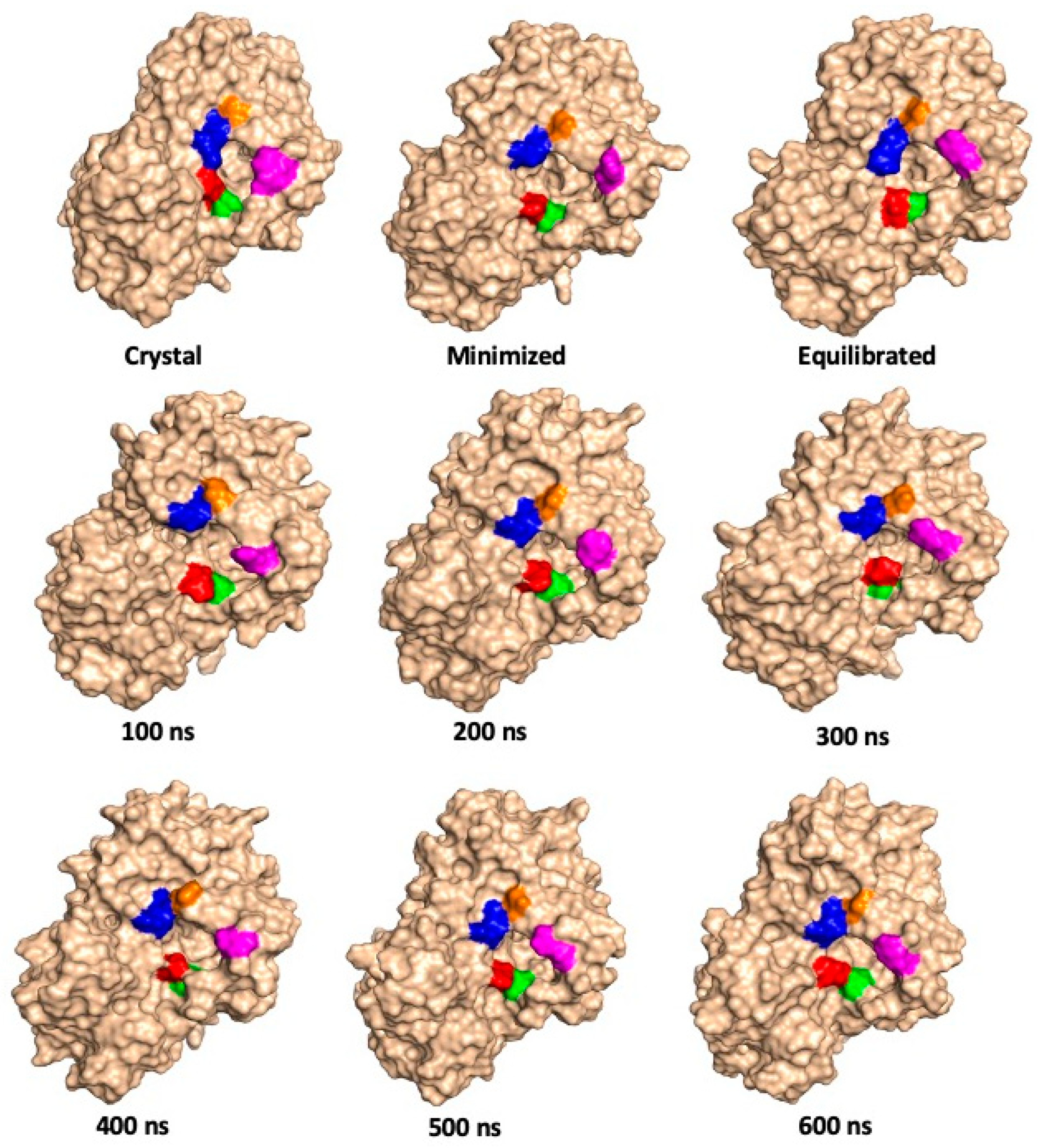 Molecules 26 03614 g005 Molecules 26 03614 g005