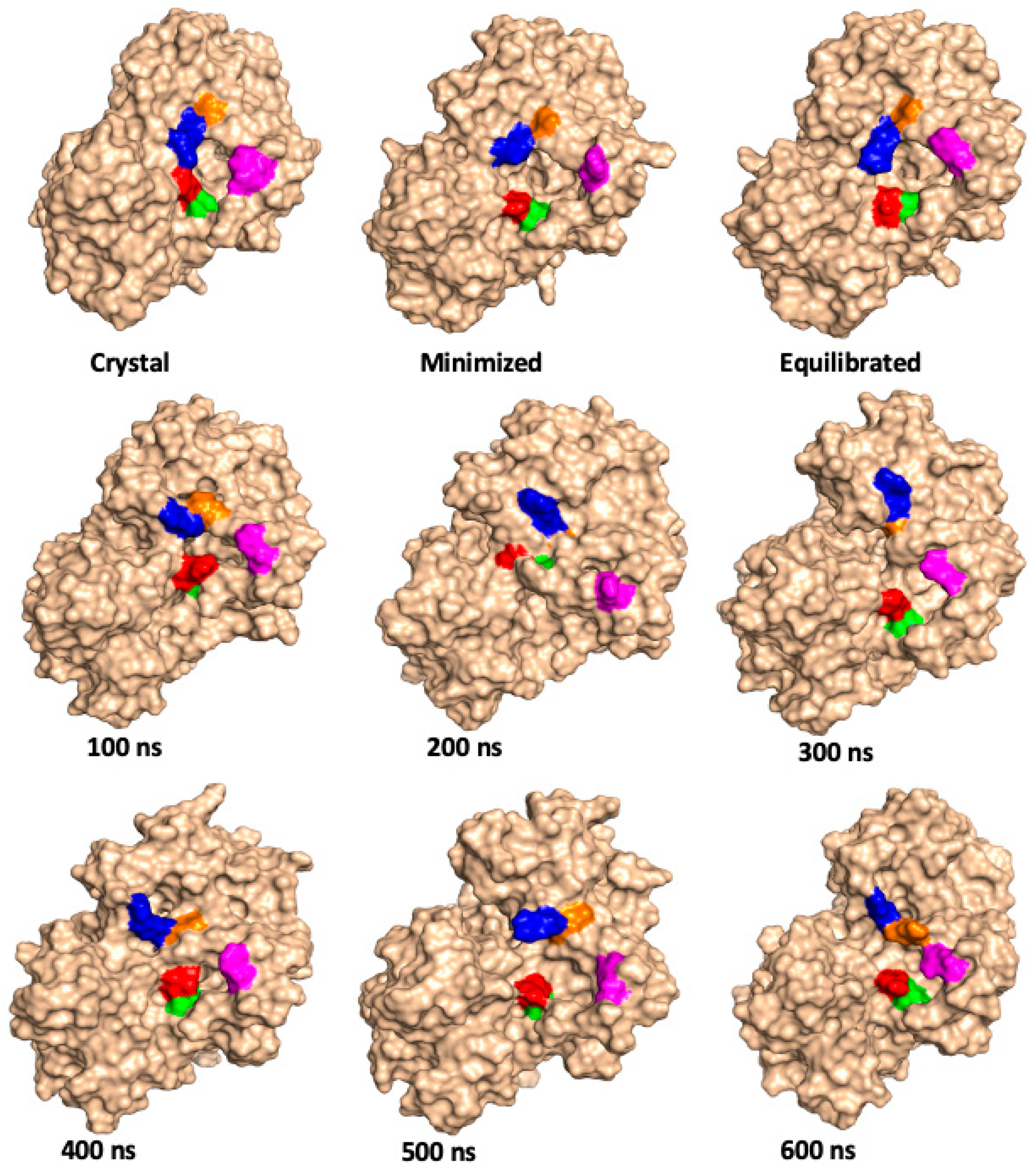 Molecules 26 03614 g006 Molecules 26 03614 g006