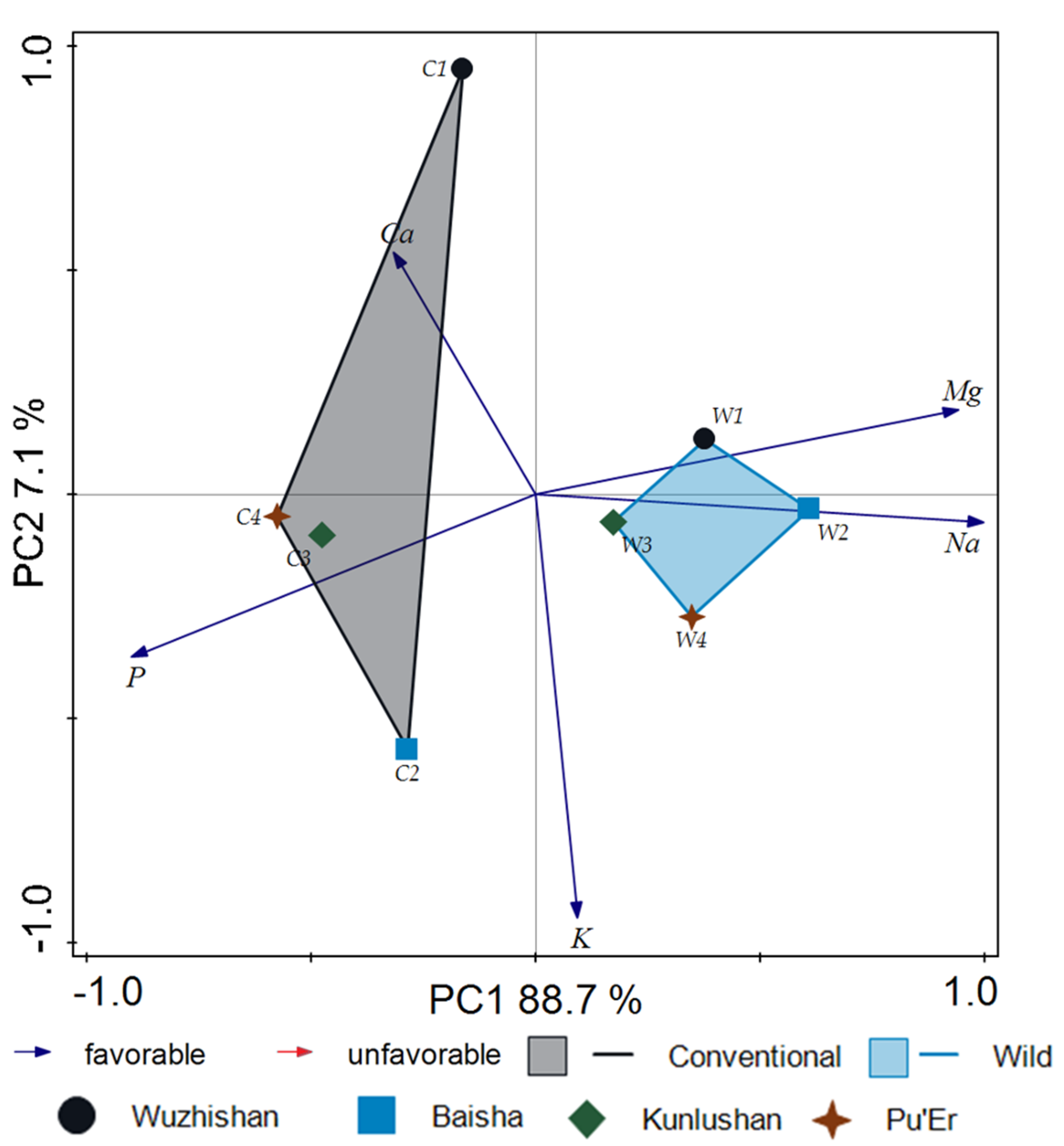 Molecules 26 03620 g007