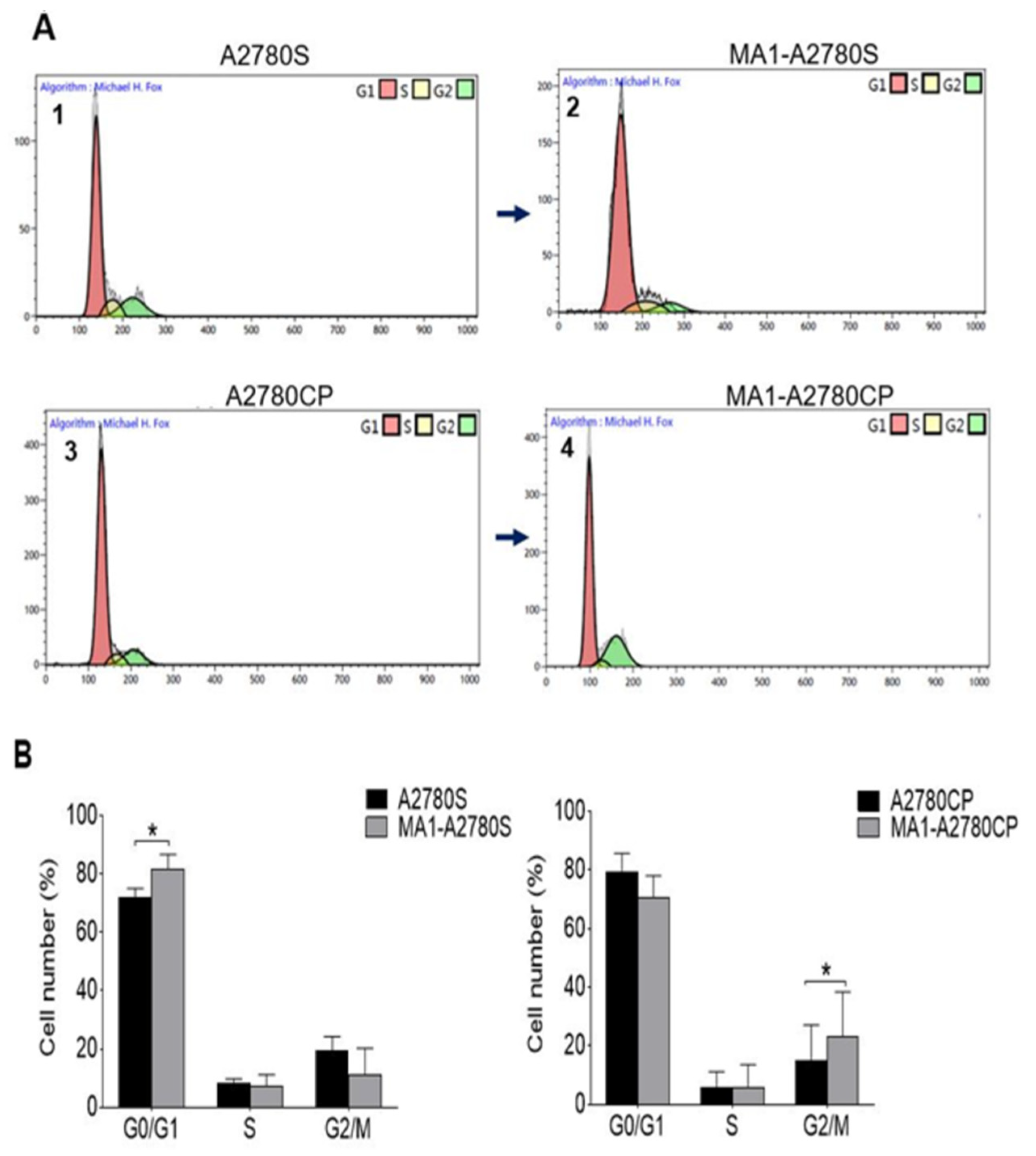 Molecules 26 03624 g005 Molecules 26 03624 g005