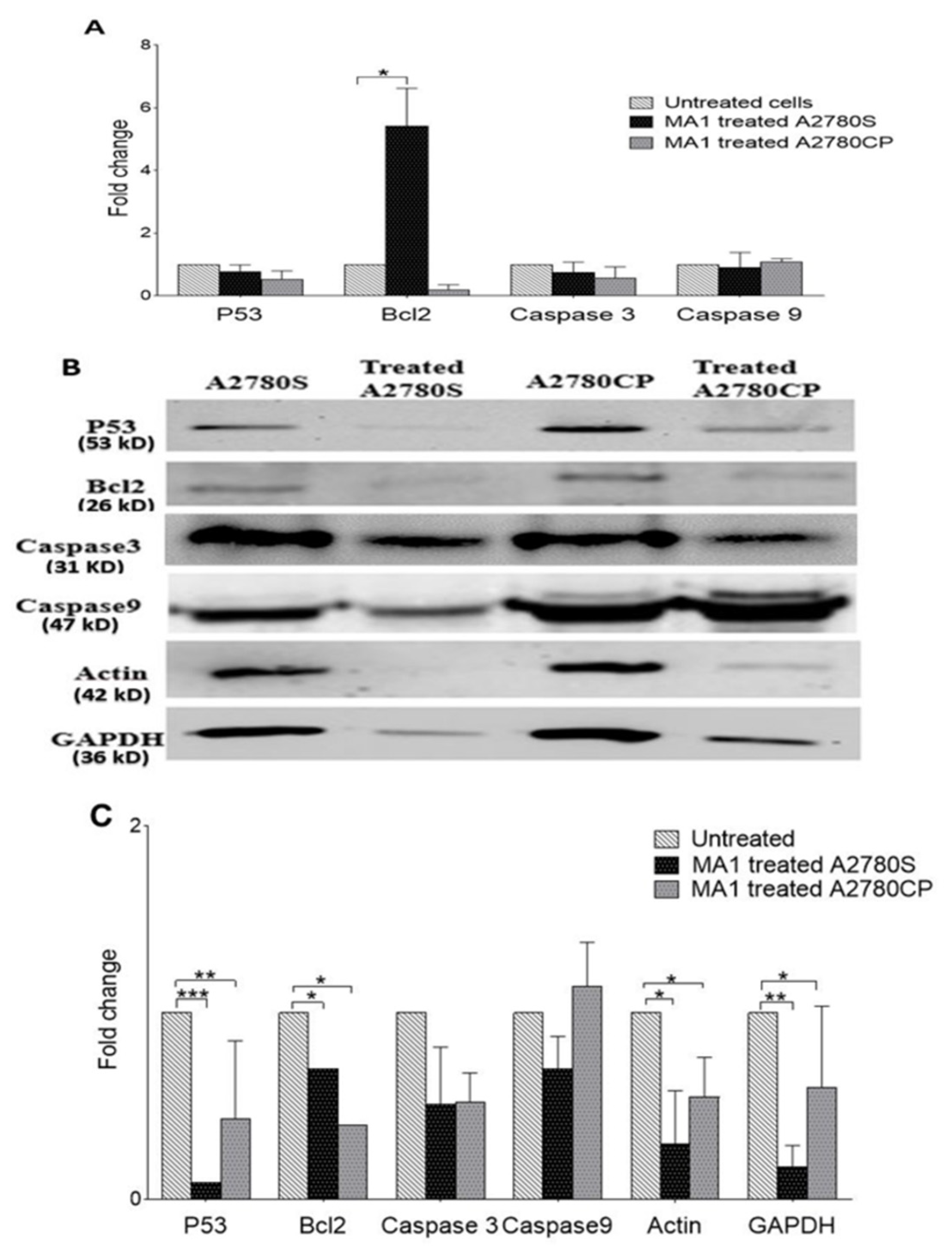 Molecules 26 03624 g006 Molecules 26 03624 g006