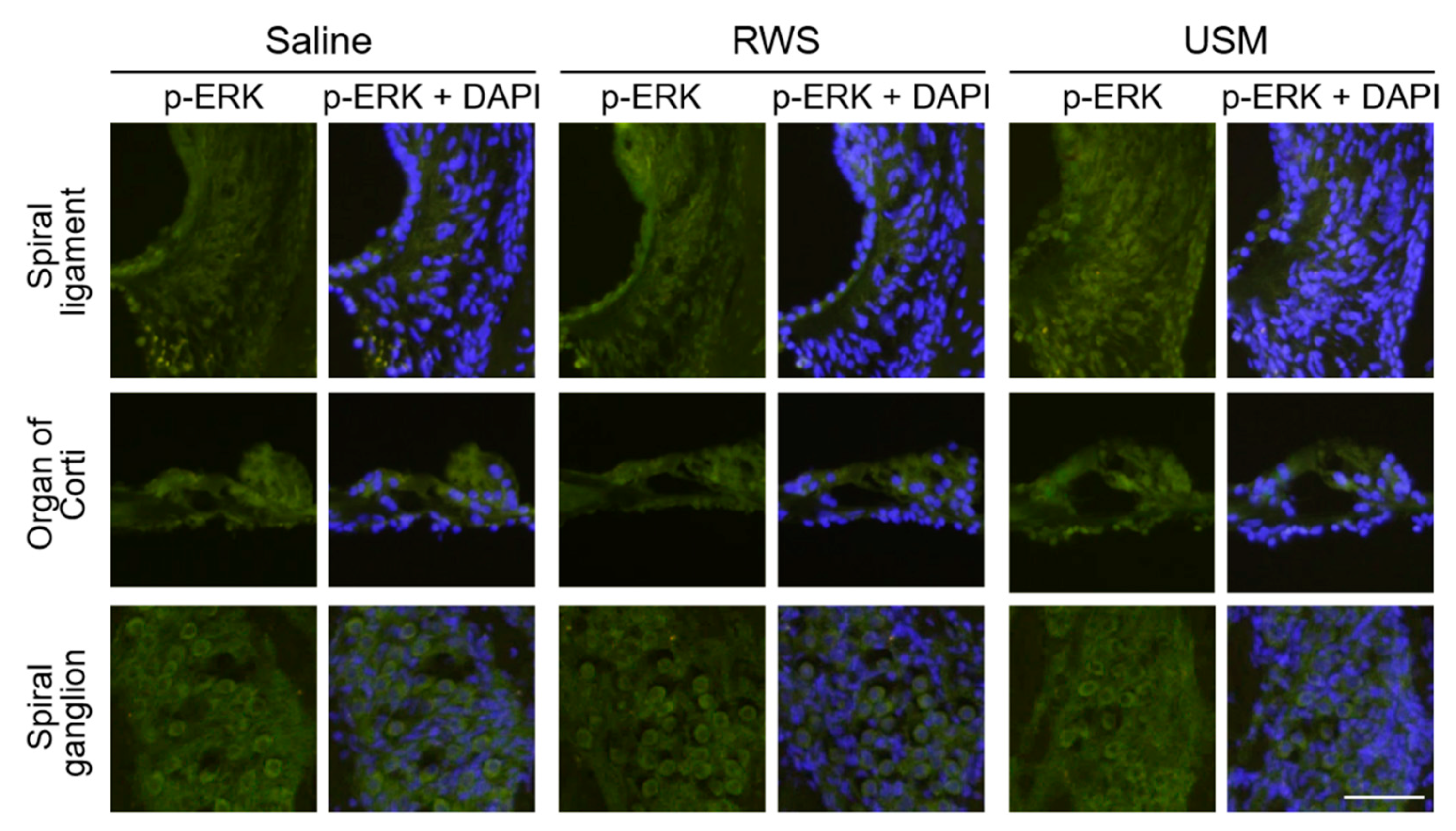 Molecules 26 03626 g007