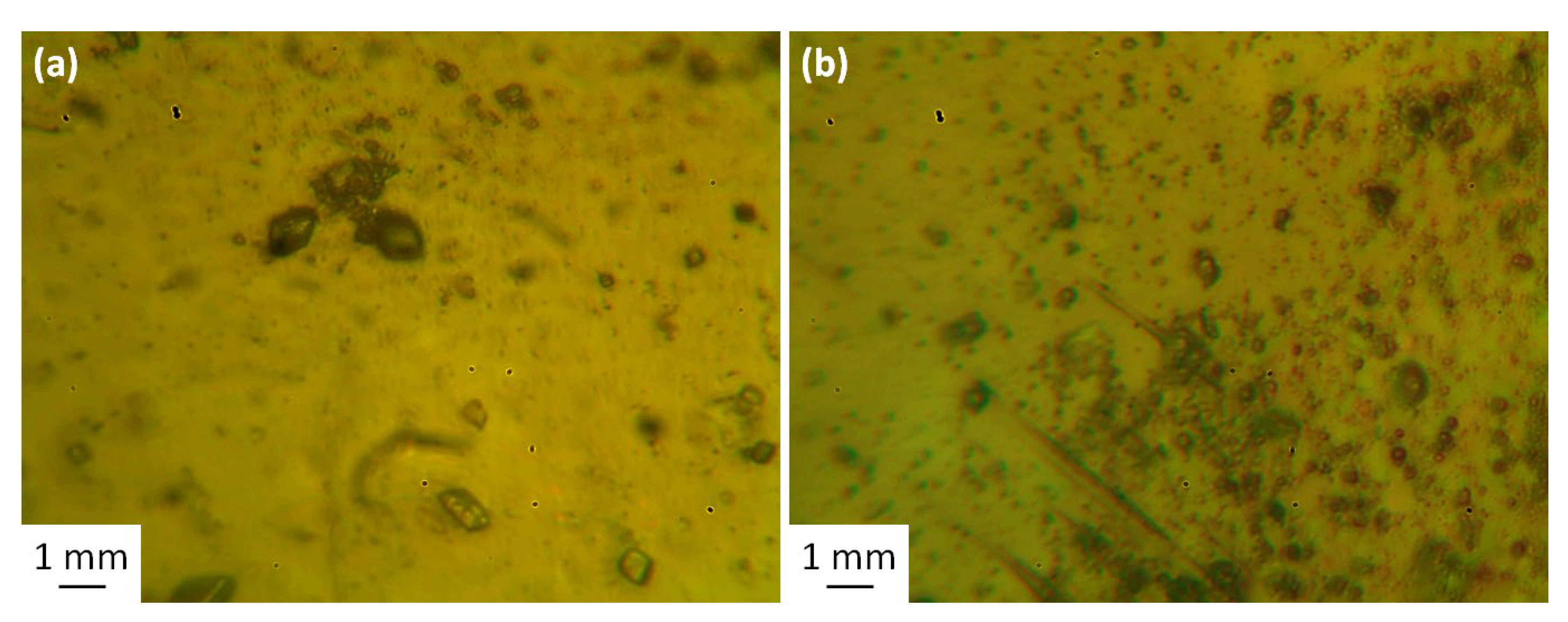 Molecules 26 03629 g006