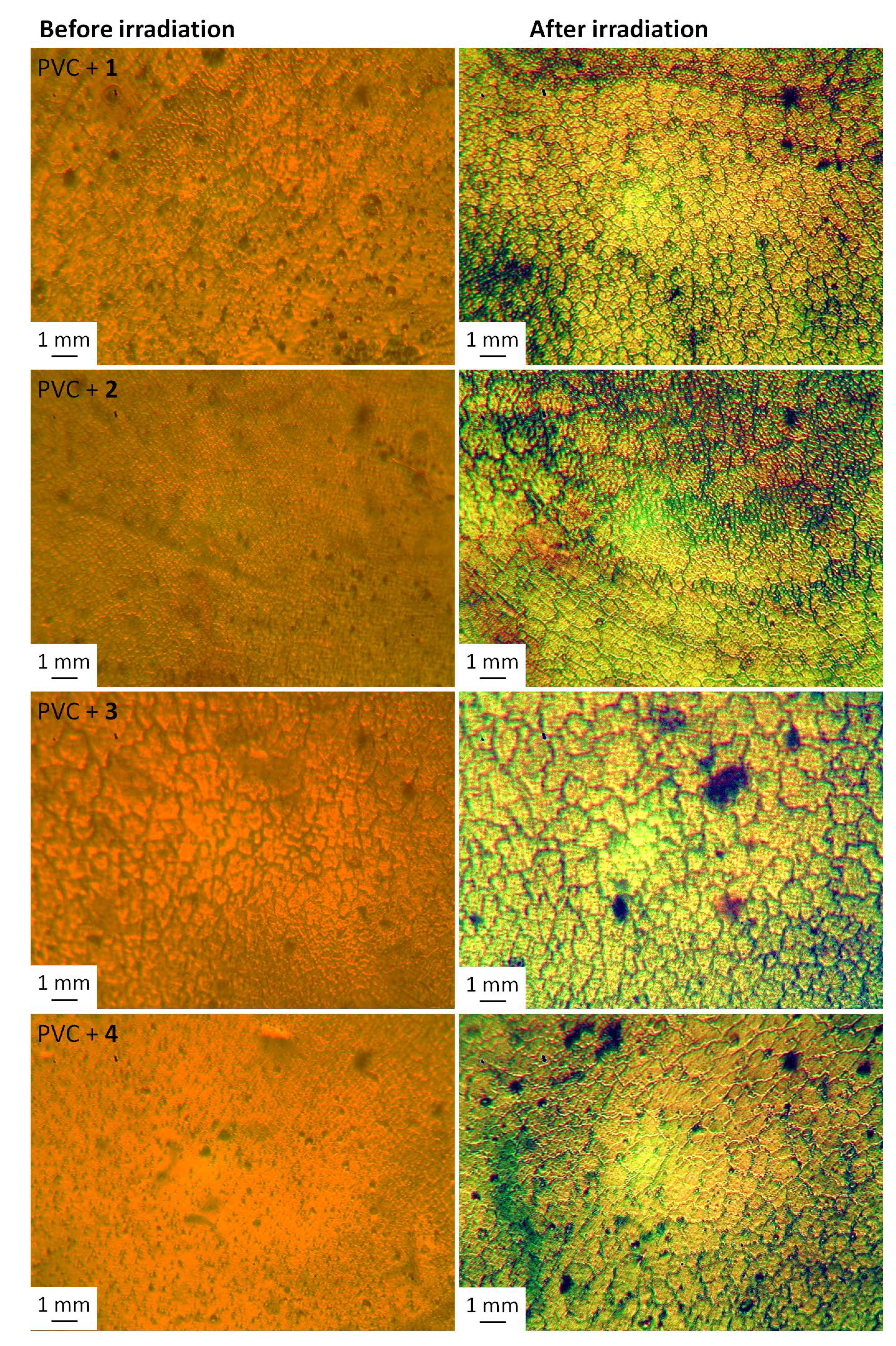 Molecules 26 03629 g007