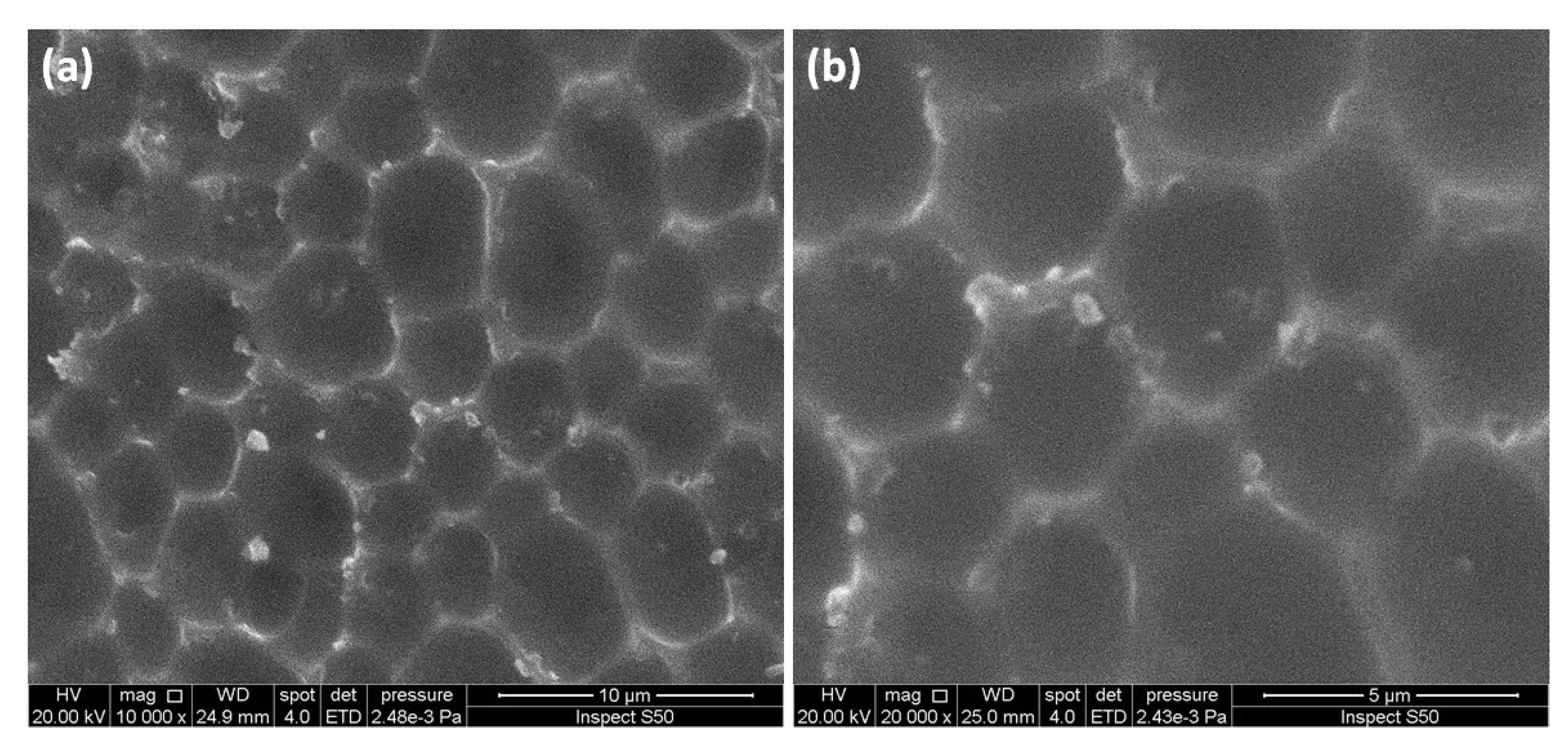 Molecules 26 03629 g010