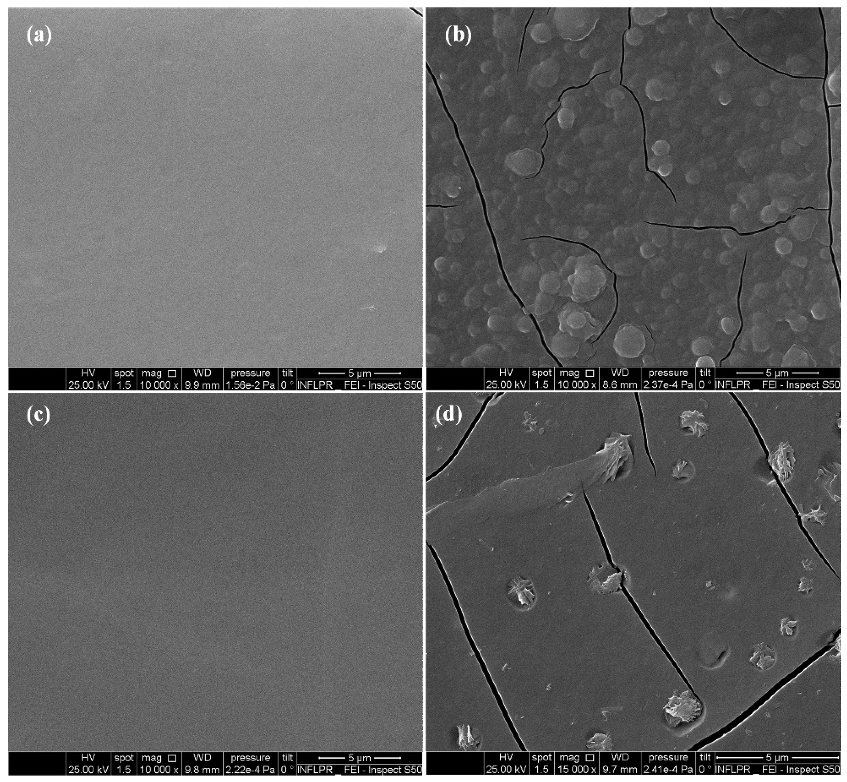 Molecules 26 03634 g006 Molecules 26 03634 g006