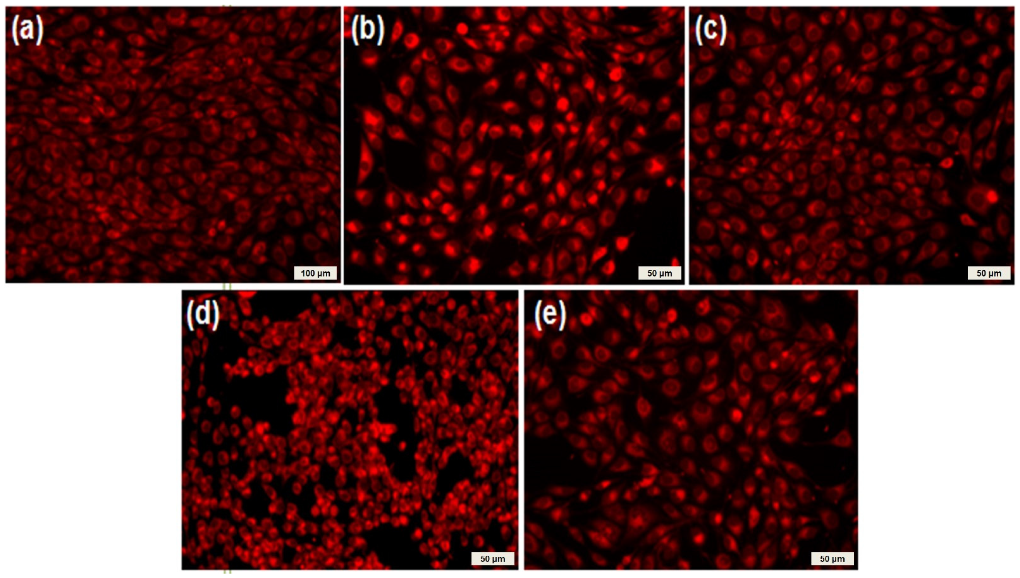 Molecules 26 03634 g010 Molecules 26 03634 g010