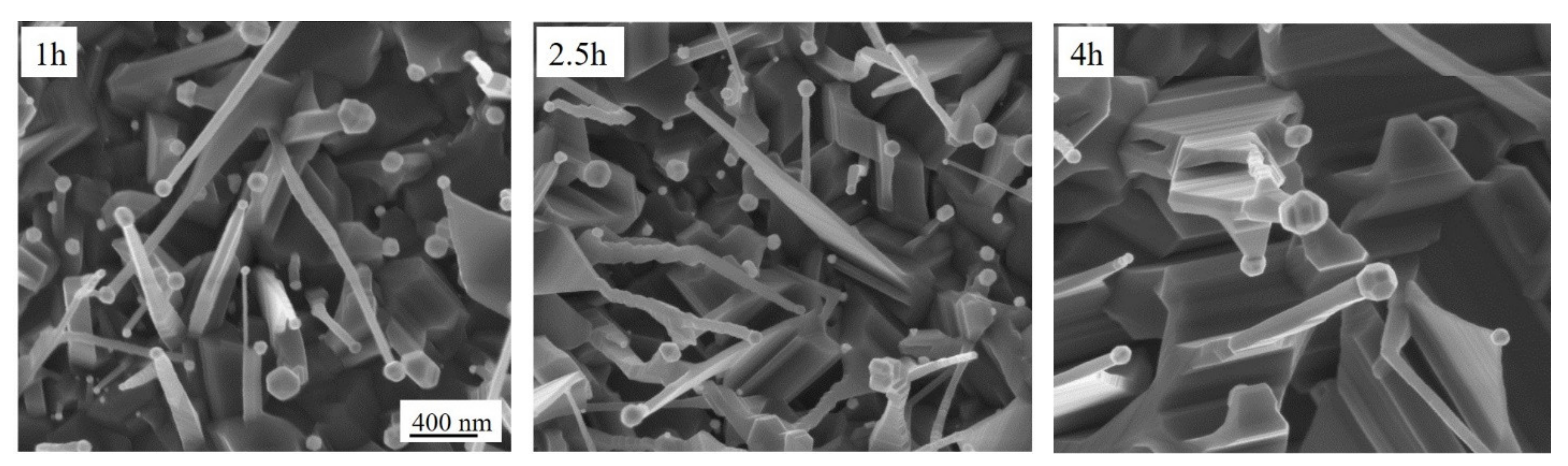 Molecules 26 03636 g002