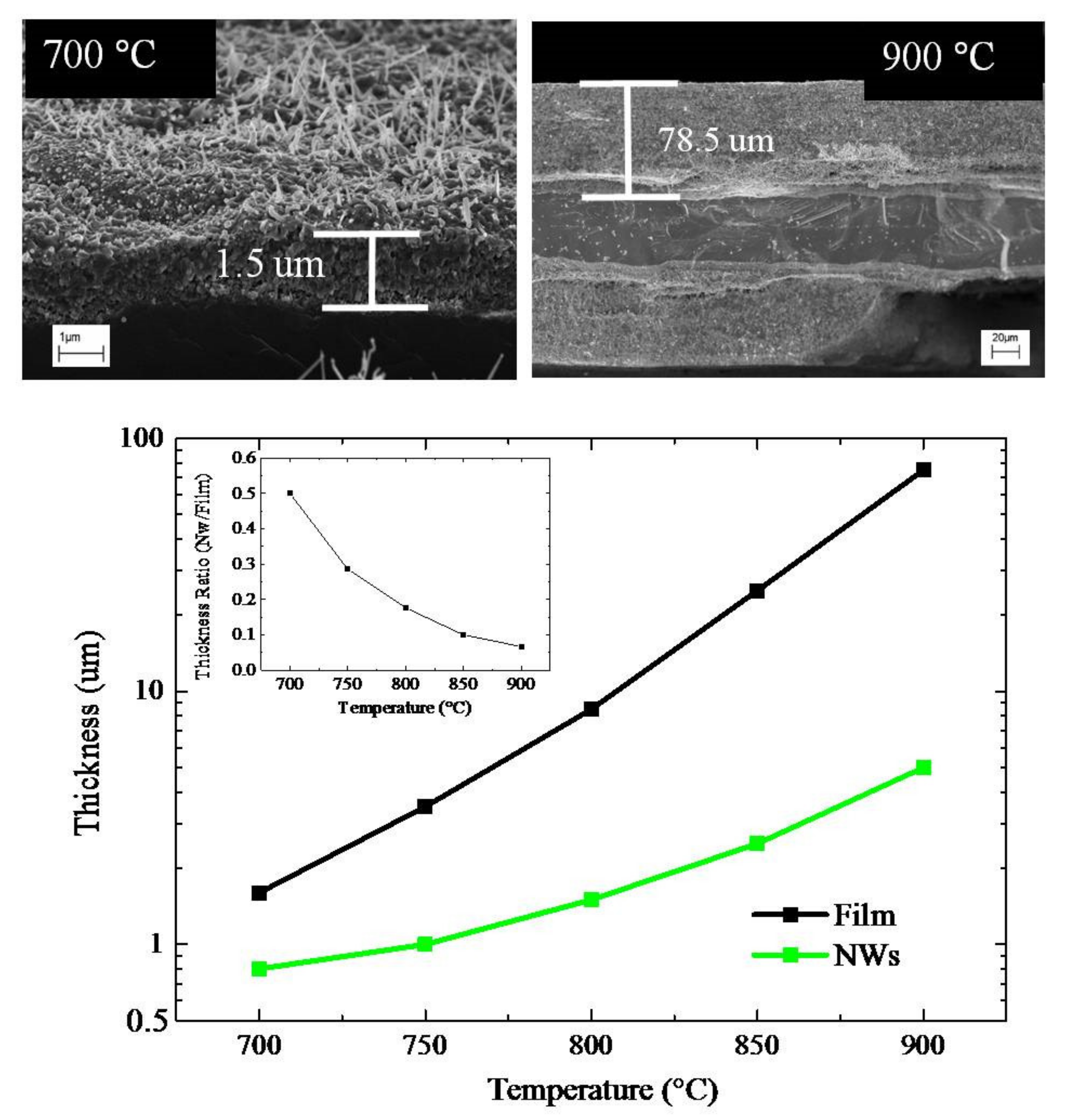 Molecules 26 03636 g003