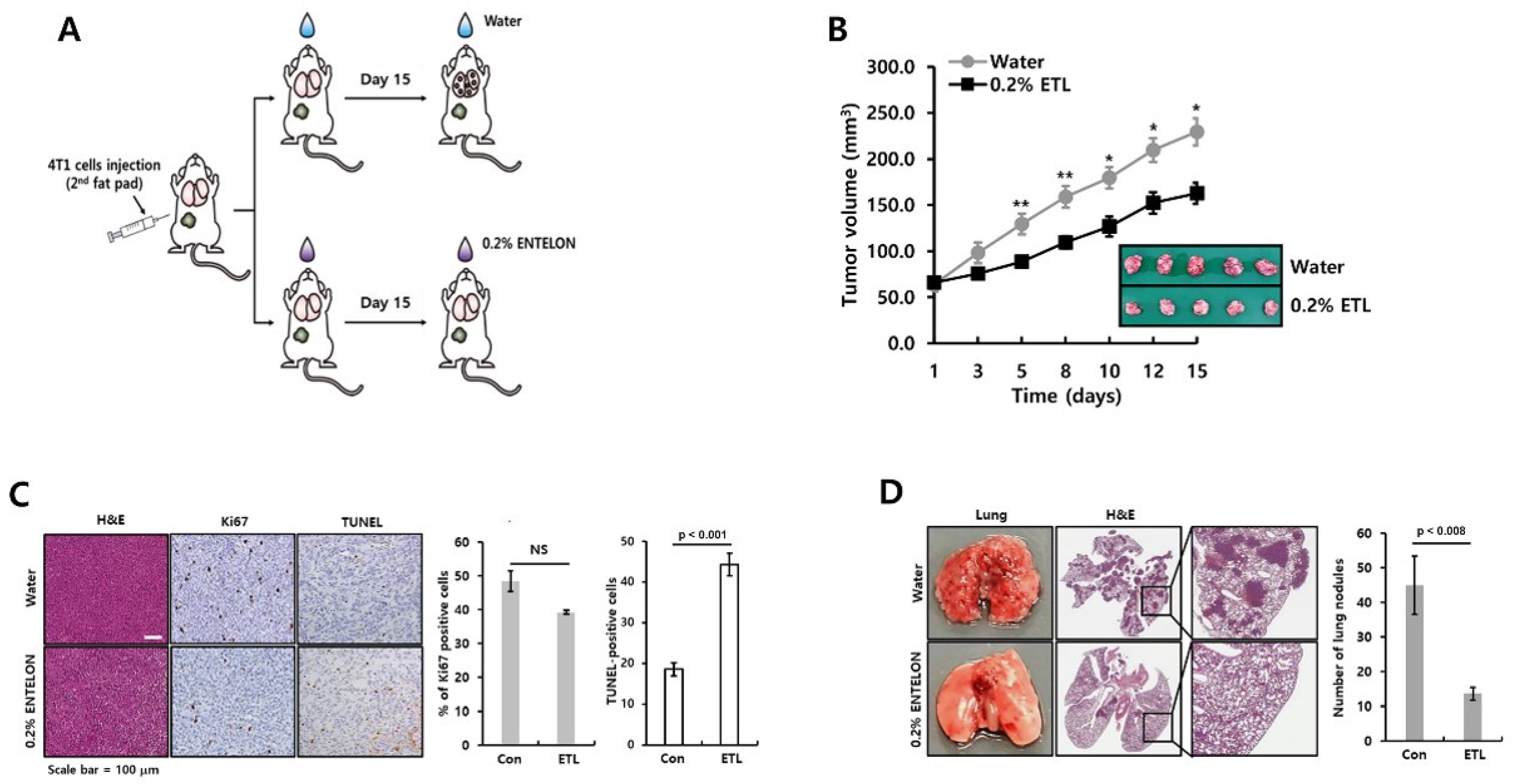 Molecules 26 03644 g007 Molecules 26 03644 g007