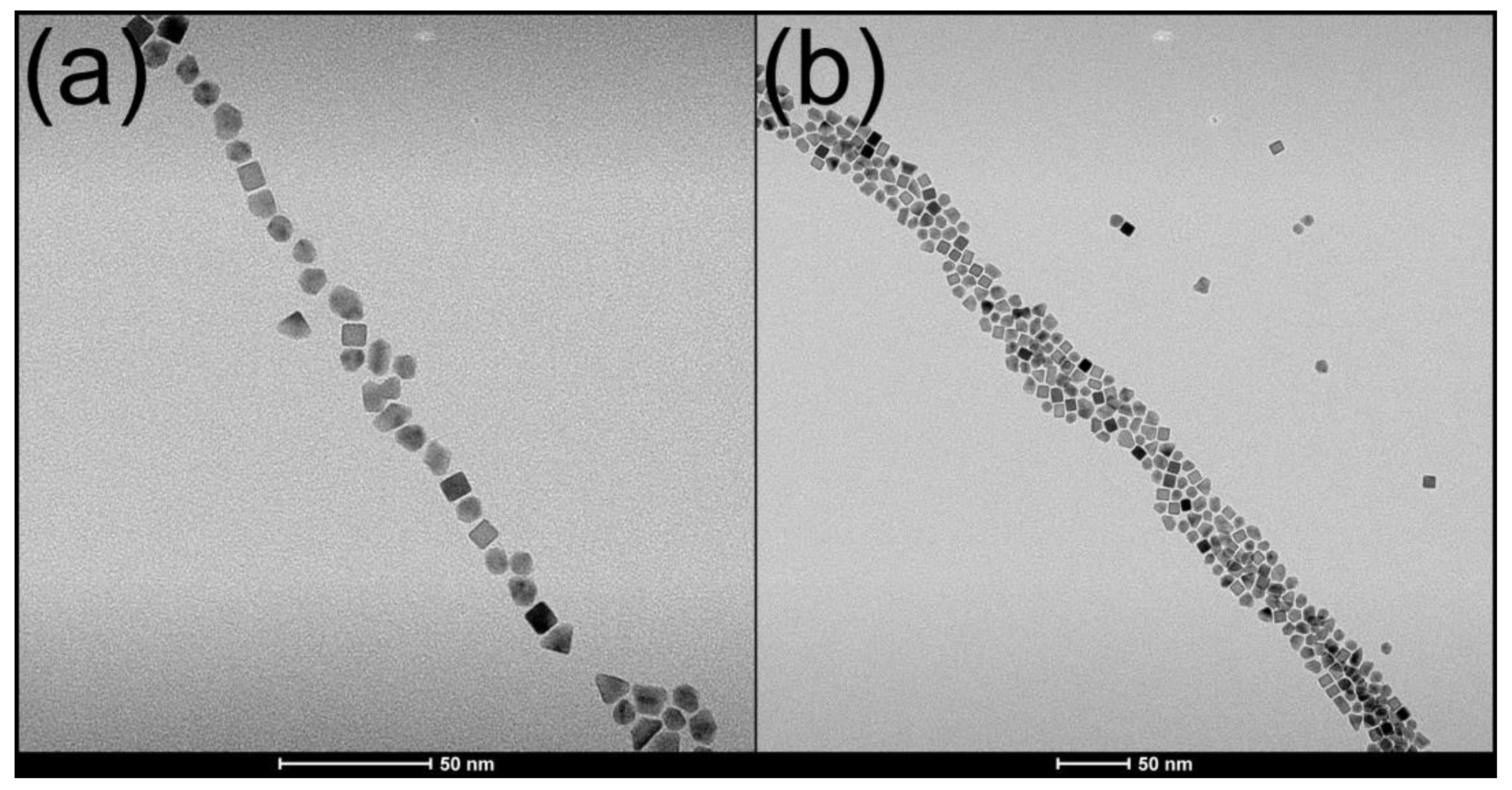 Molecules 26 03647 g004 Molecules 26 03647 g004