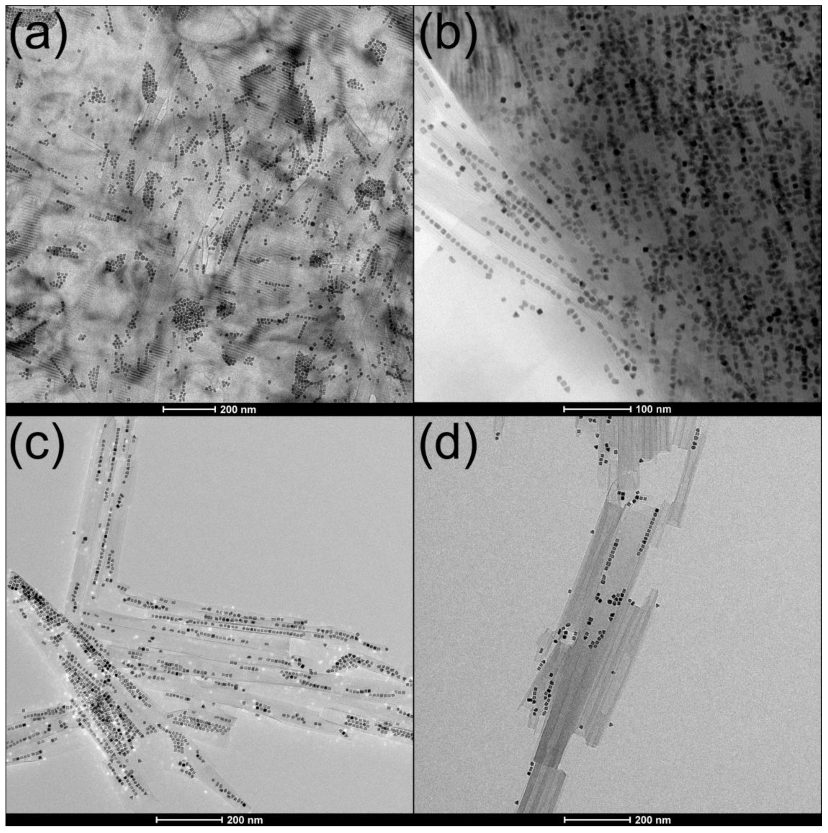 Molecules 26 03647 g006 Molecules 26 03647 g006
