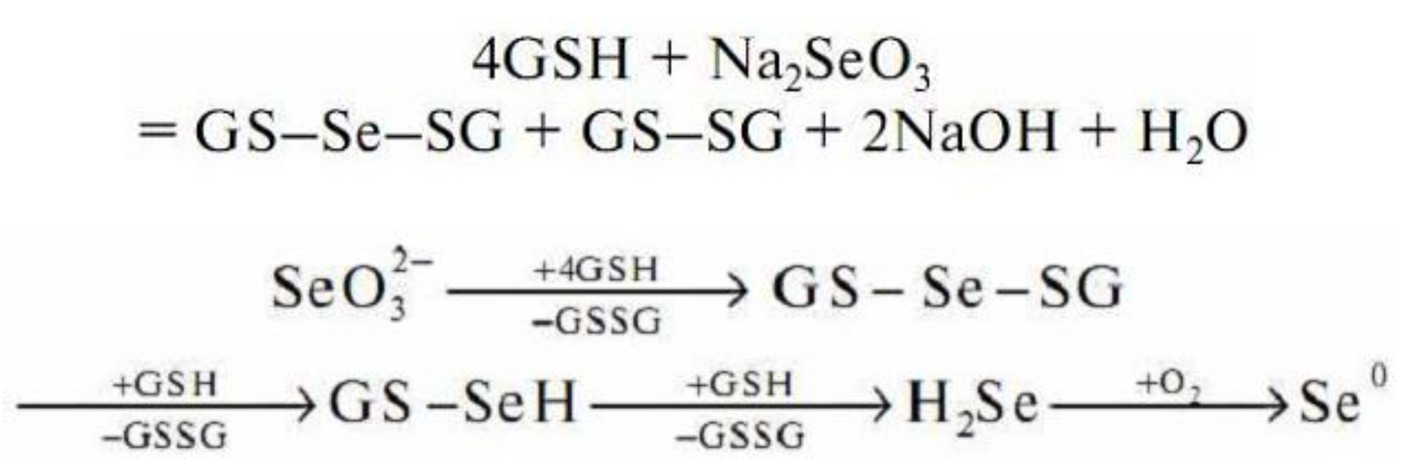 Molecules 26 03657 g007 Molecules 26 03657 g007