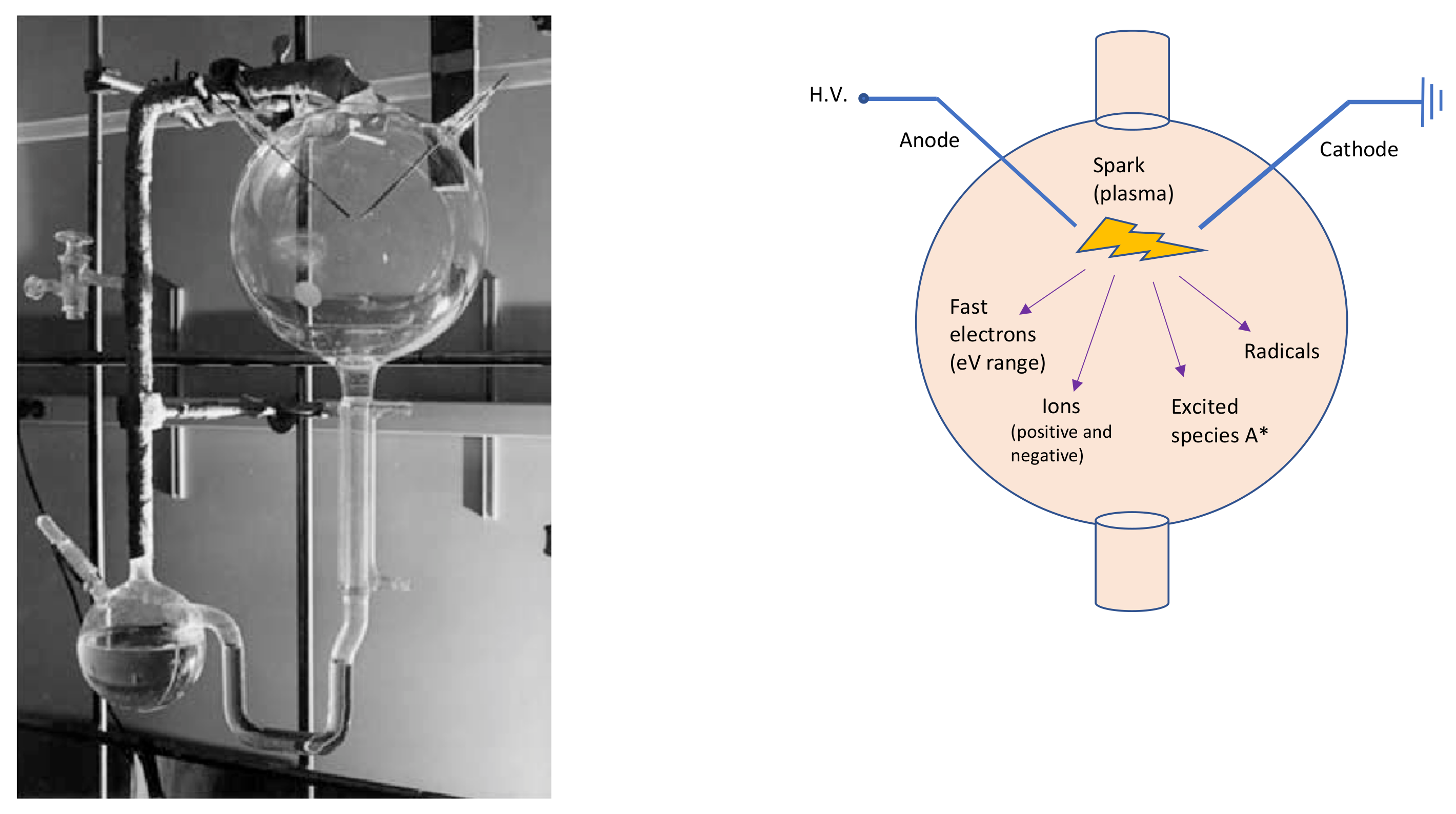 Molecules 26 03663 g001