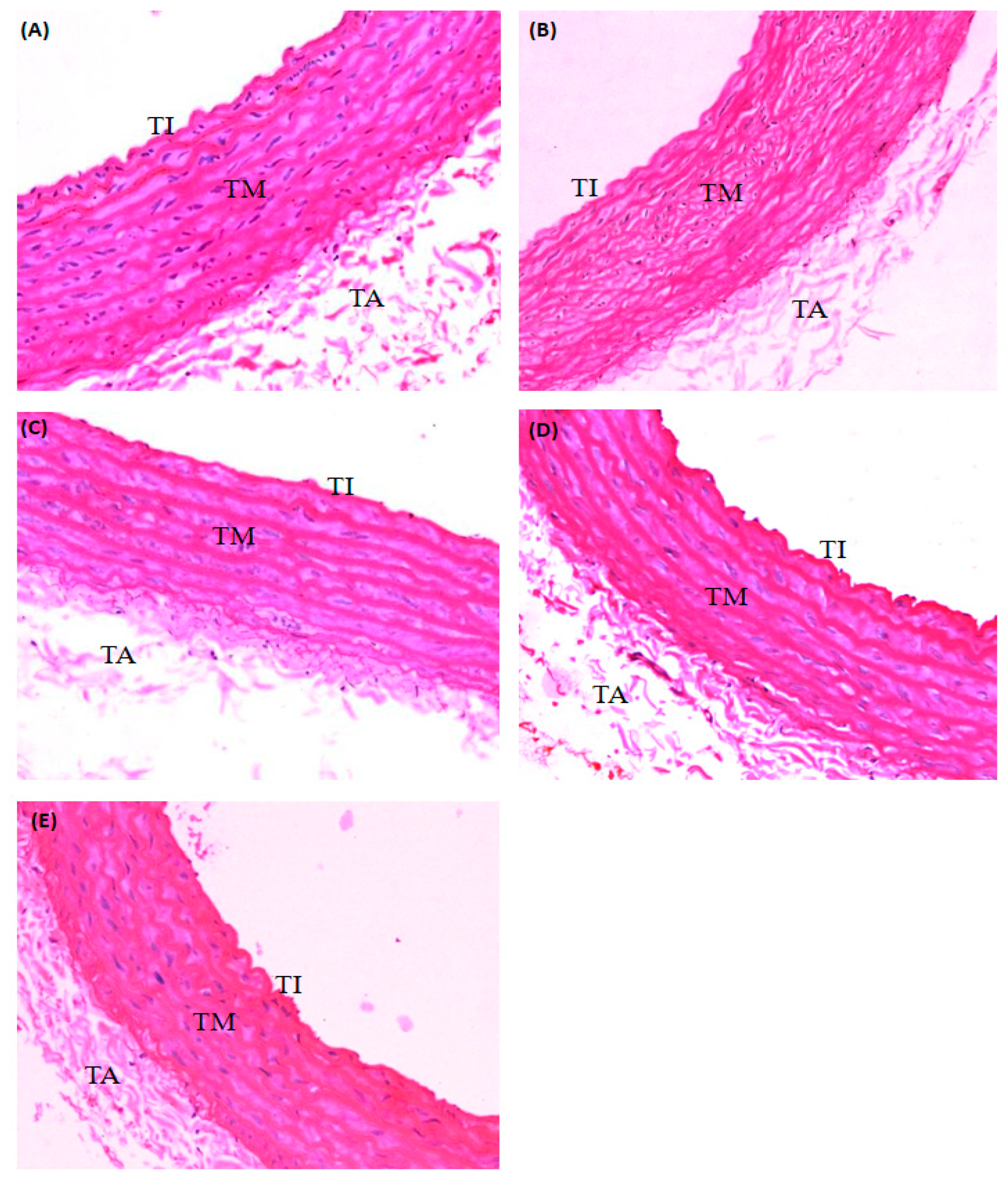 Molecules 26 03665 g003