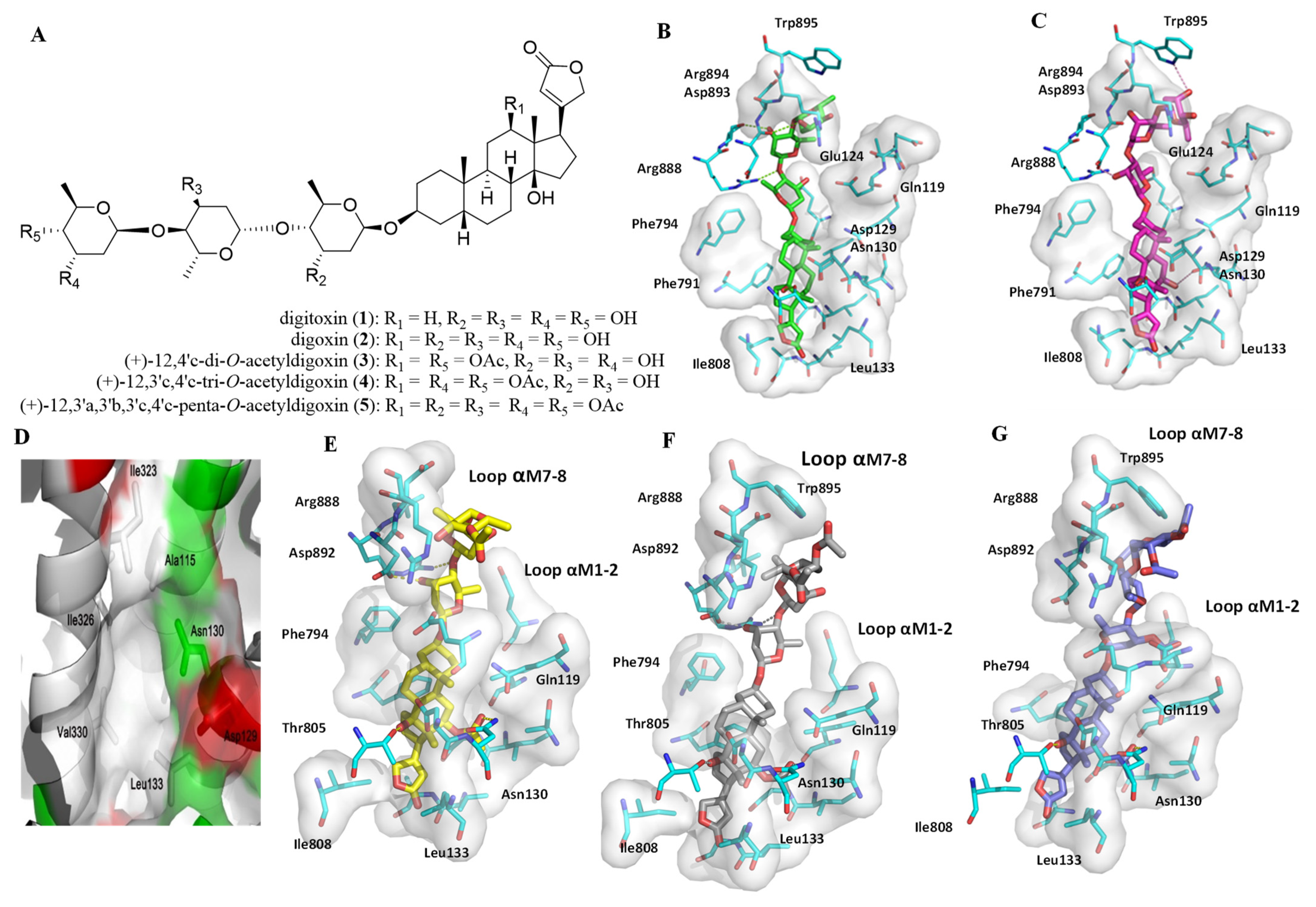 Molecules 26 03672 g002