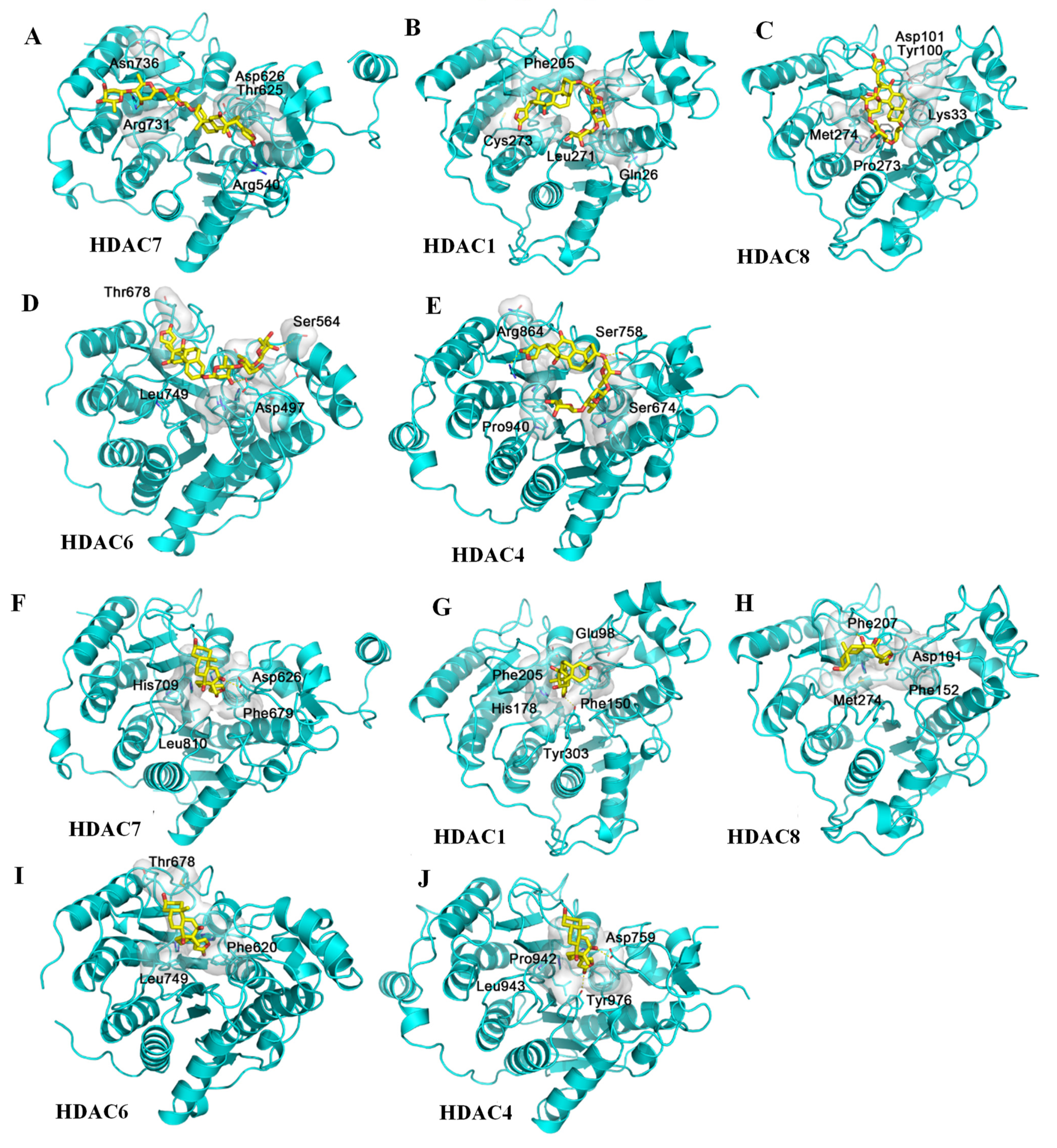 Molecules 26 03672 g005
