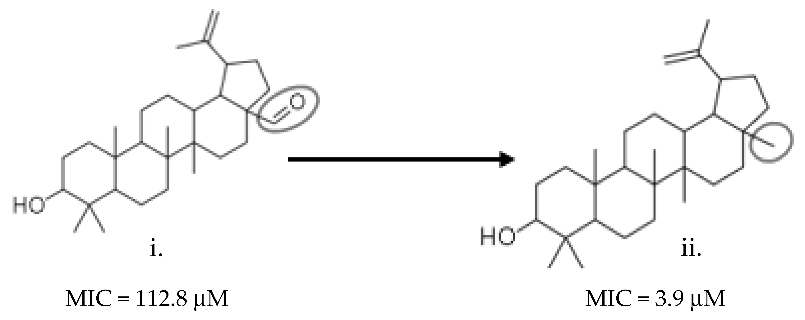 Molecules 26 03674 g018 Molecules 26 03674 g018