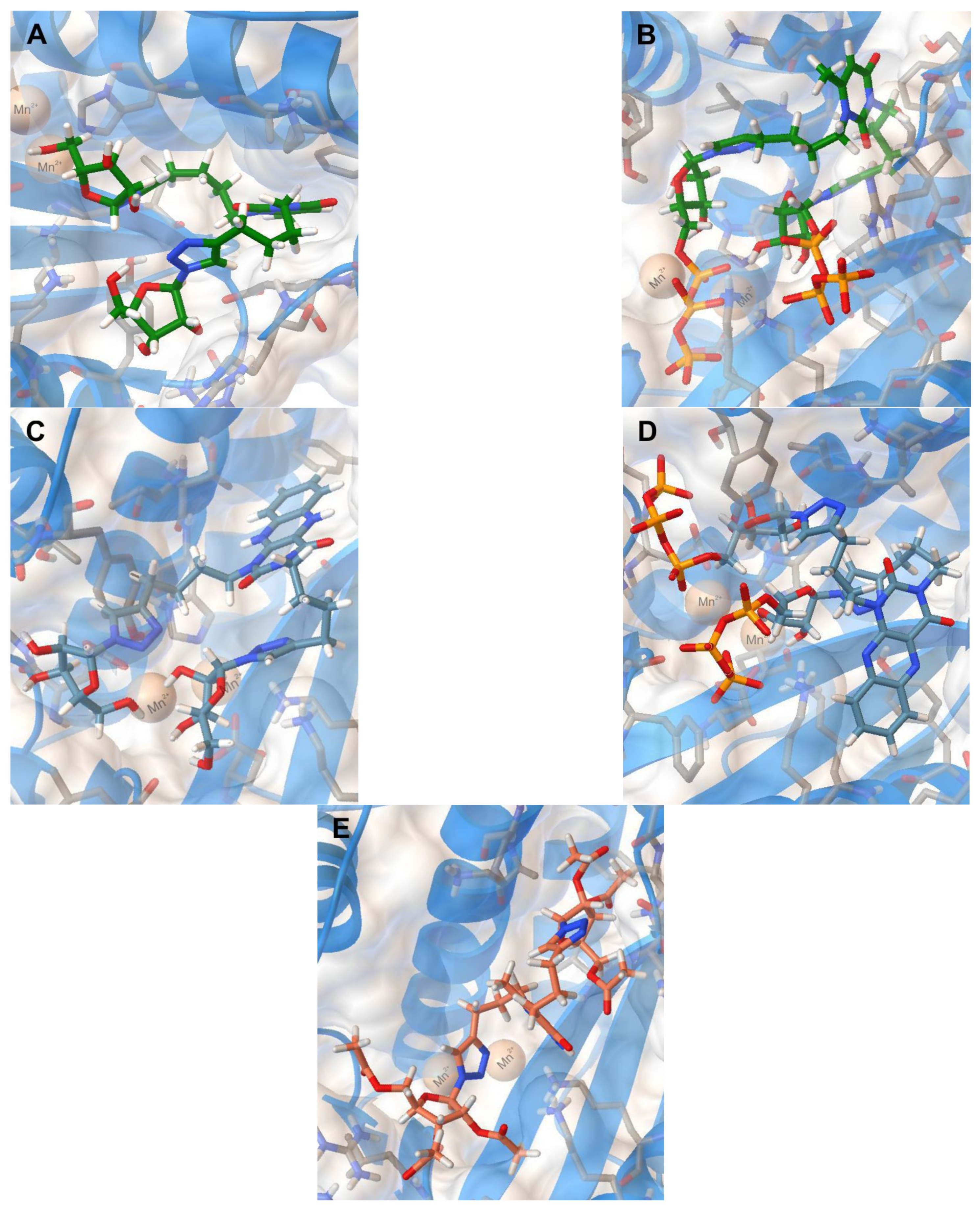 Molecules 26 03678 g003 Molecules 26 03678 g003