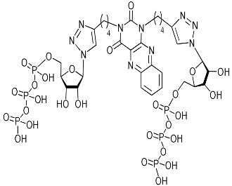 Molecules 26 03678 i055 Molecules 26 03678 i055