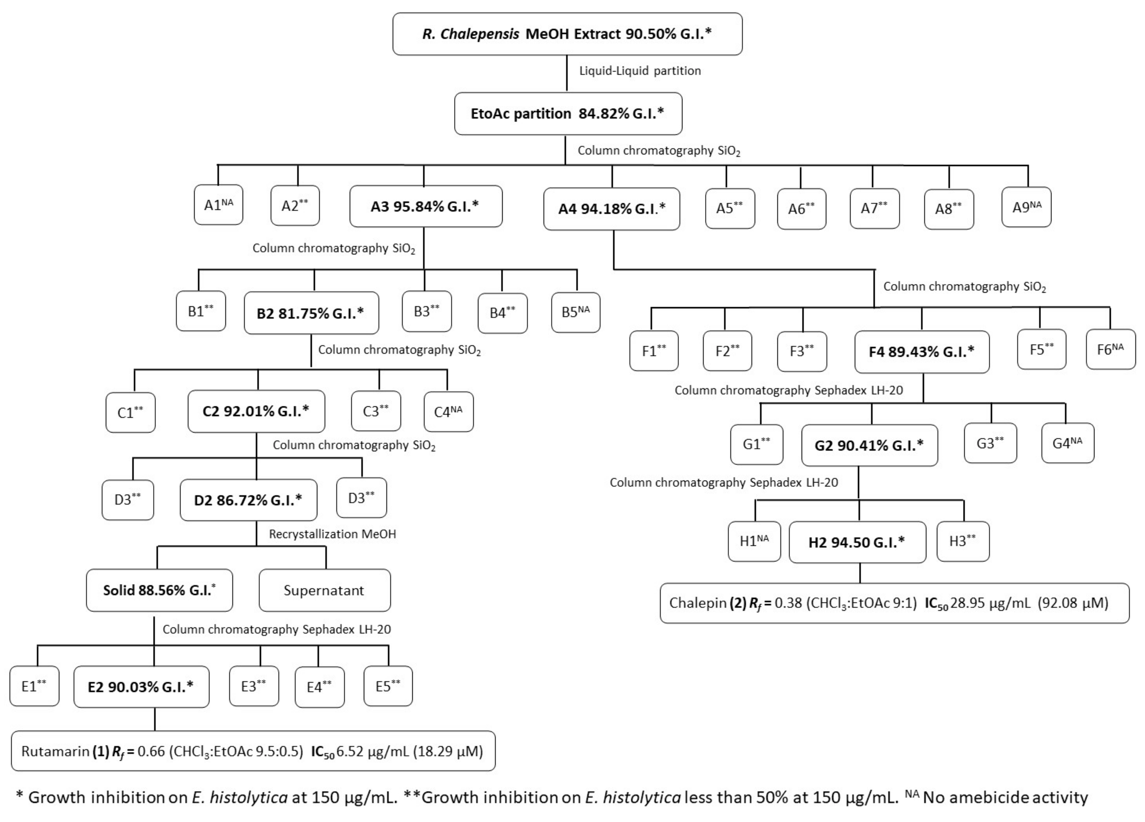 Molecules 26 03684 g001 Molecules 26 03684 g001