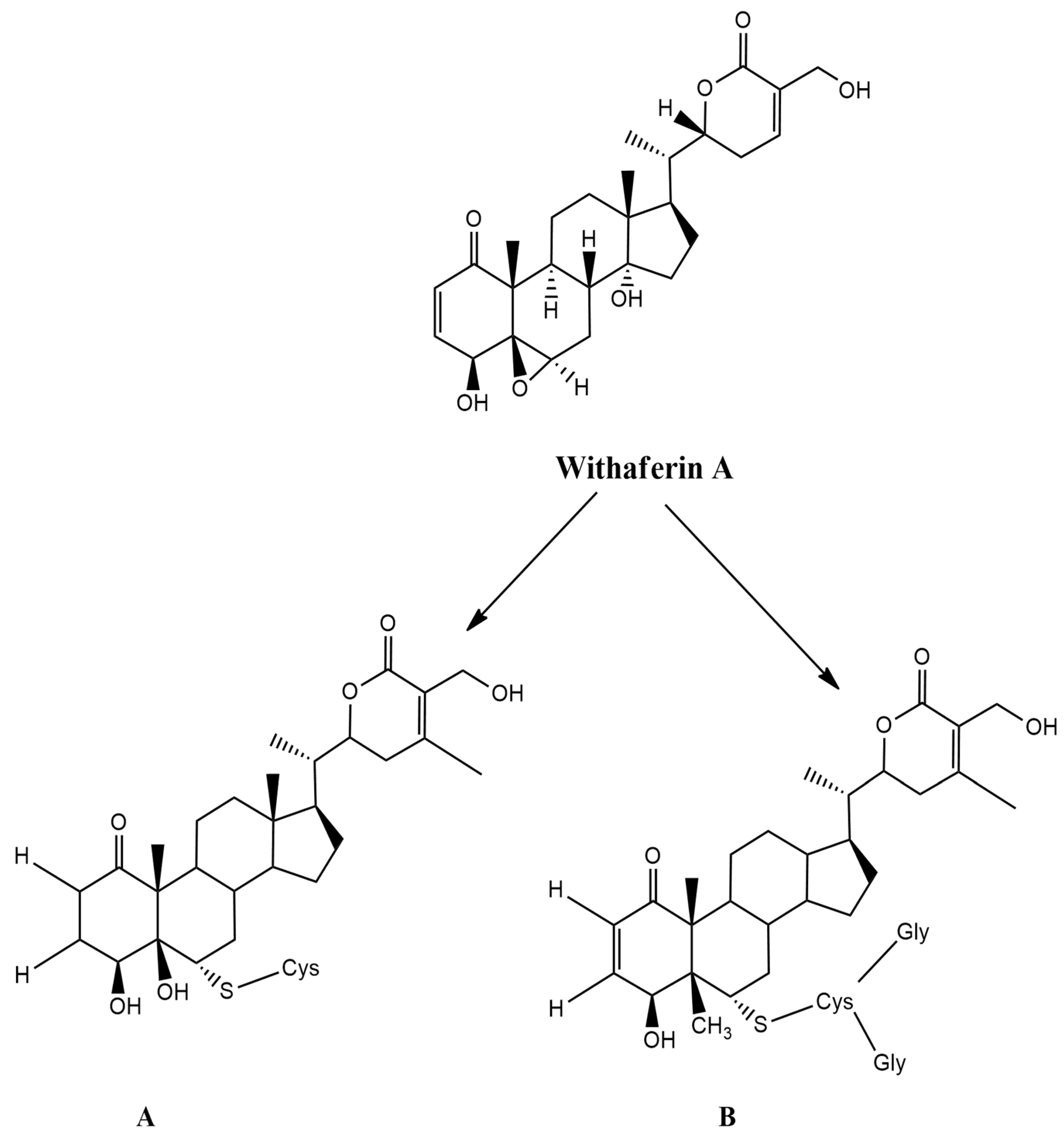 Molecules 26 03696 g004