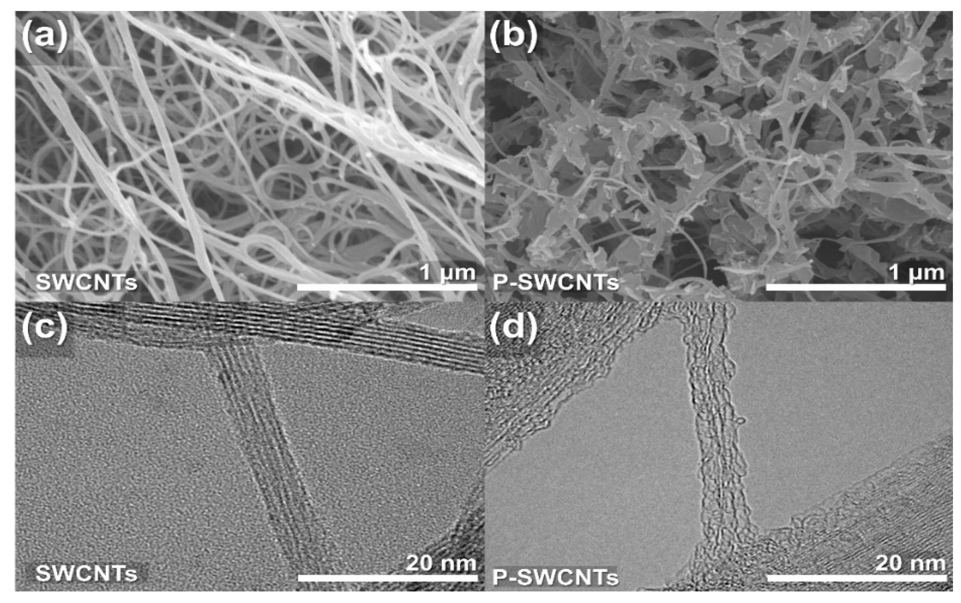 Molecules 26 03698 g003 Molecules 26 03698 g003