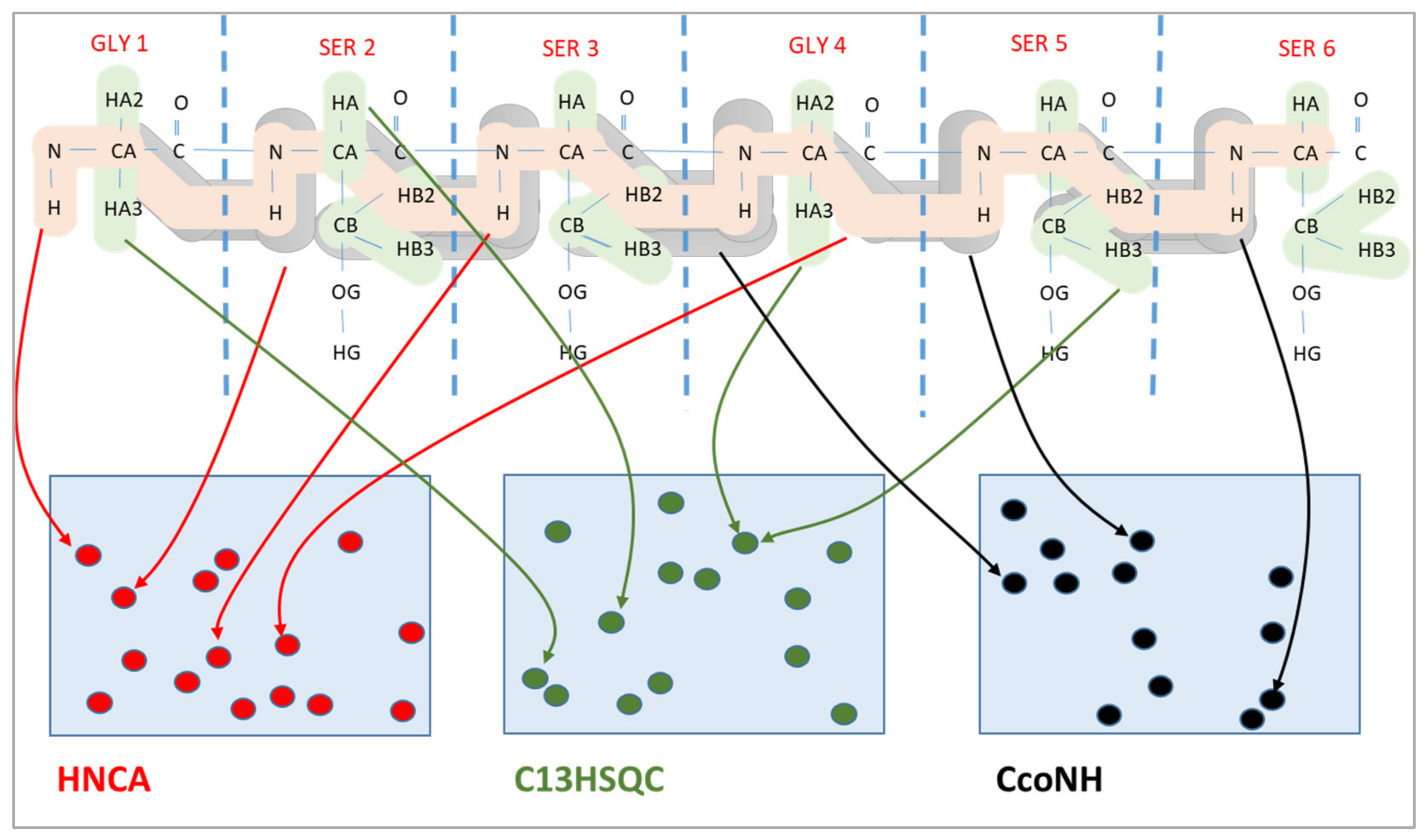 Molecules 26 03699 g001