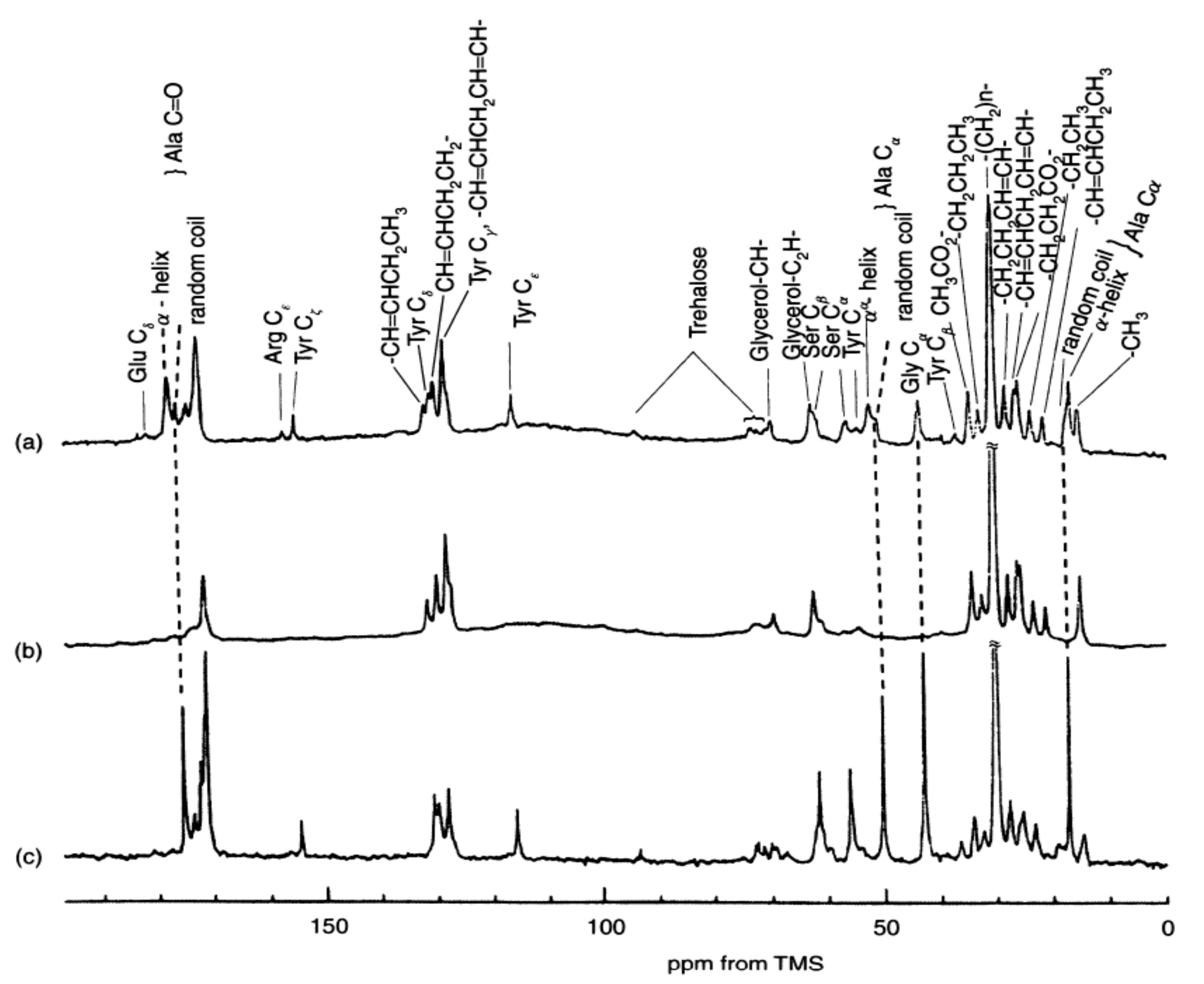 Molecules 26 03706 g002 Molecules 26 03706 g002
