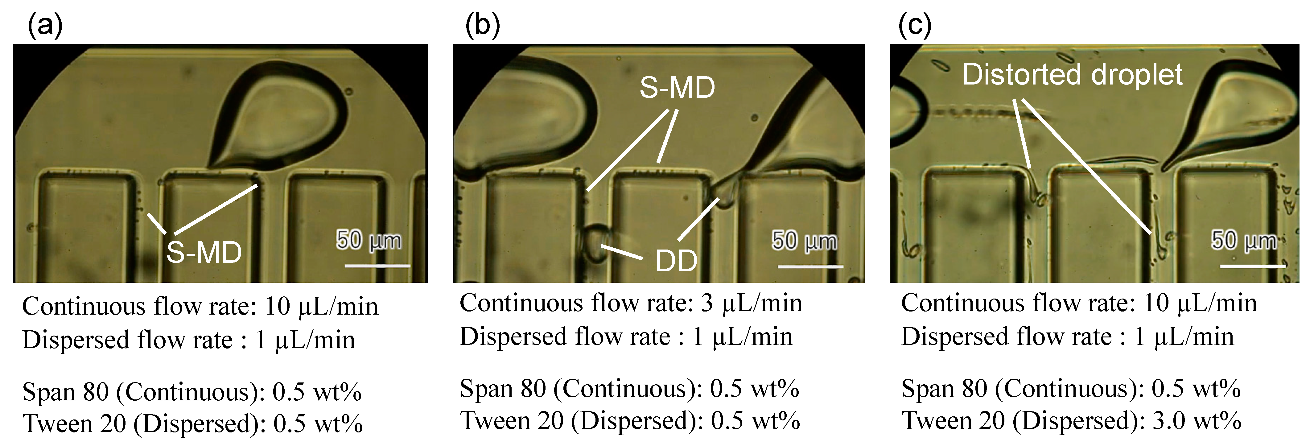 Molecules 26 03707 g002 Molecules 26 03707 g002