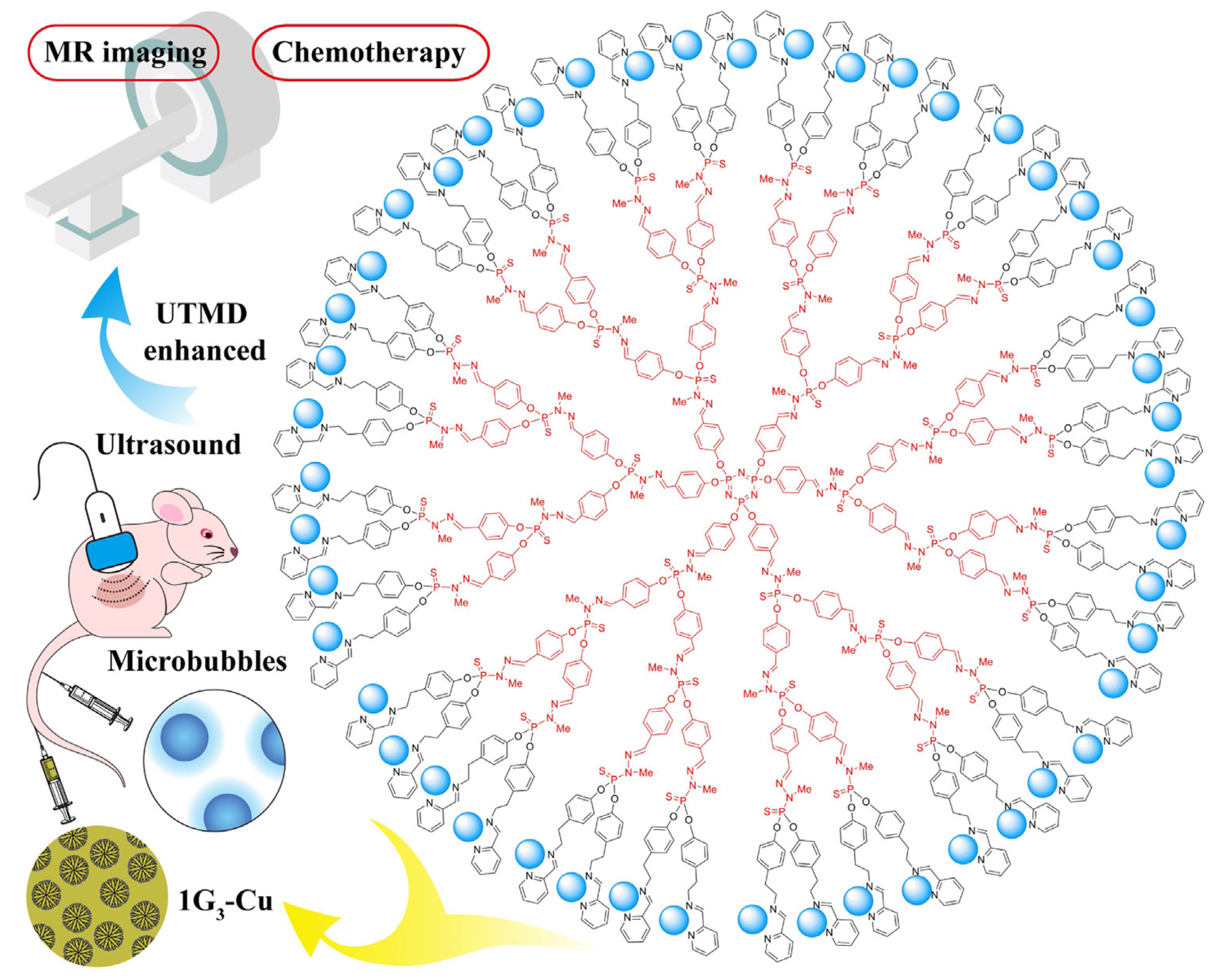 Molecules 26 03708 g003 Molecules 26 03708 g003