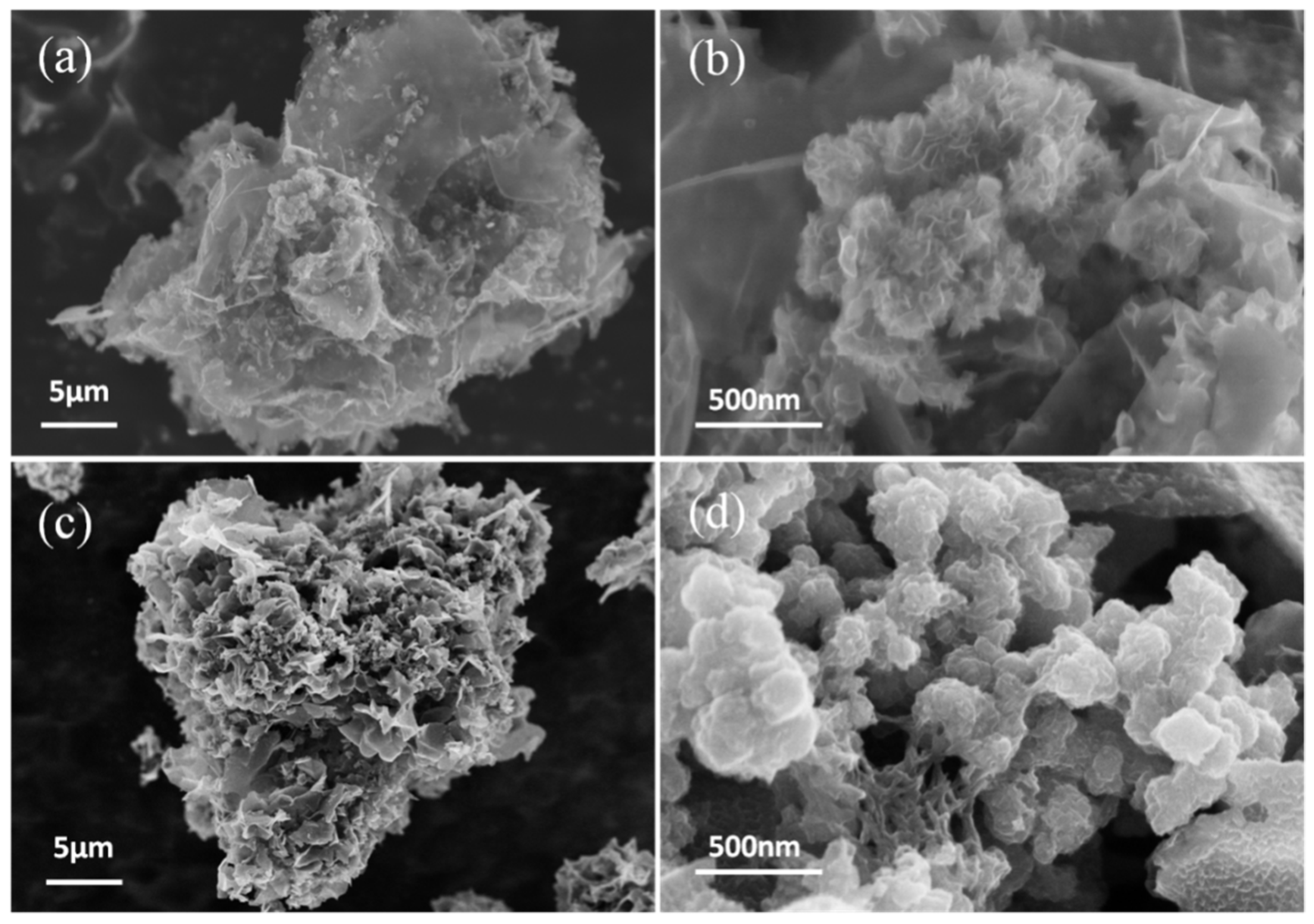 Molecules 26 03710 g001