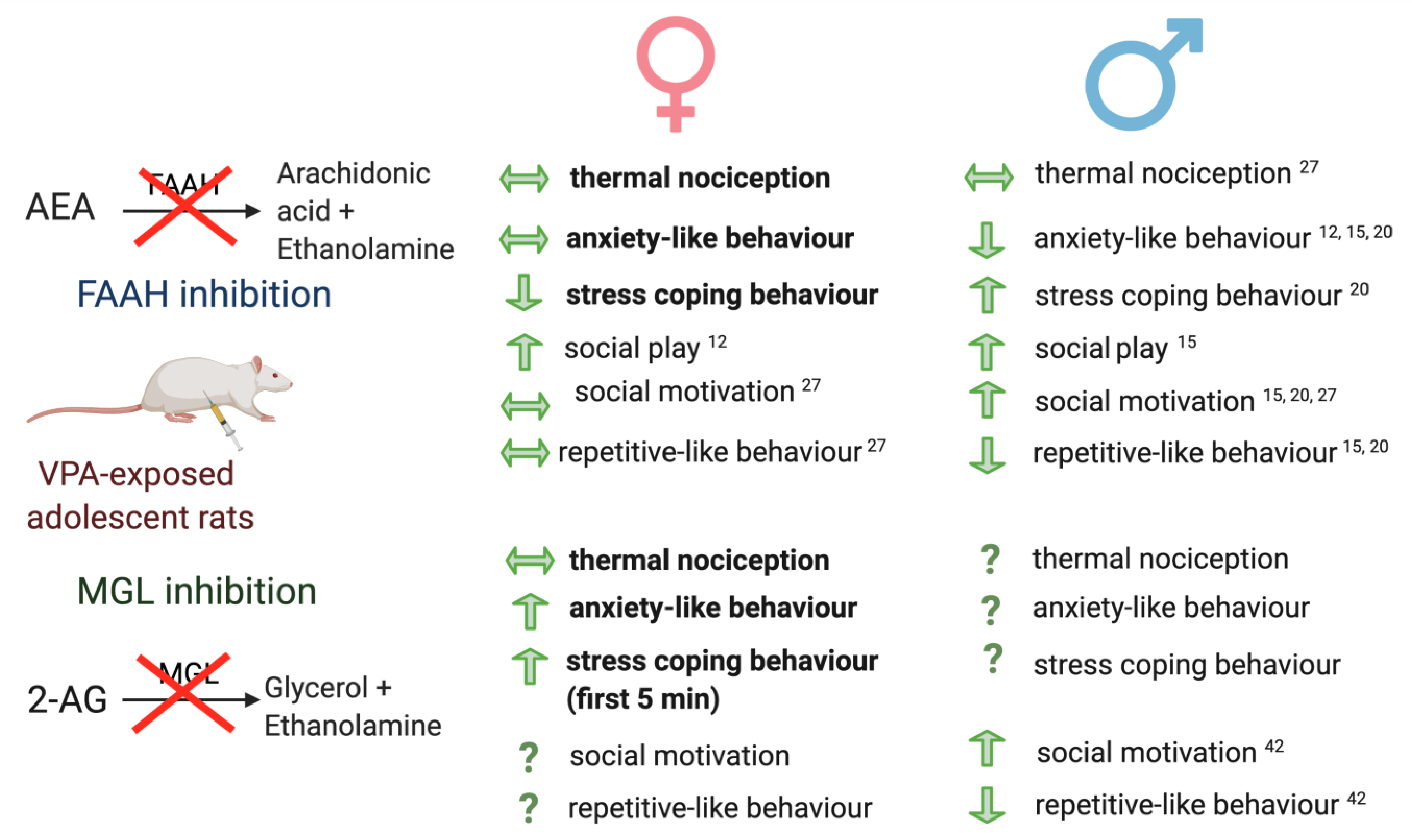 Molecules 26 03720 g004