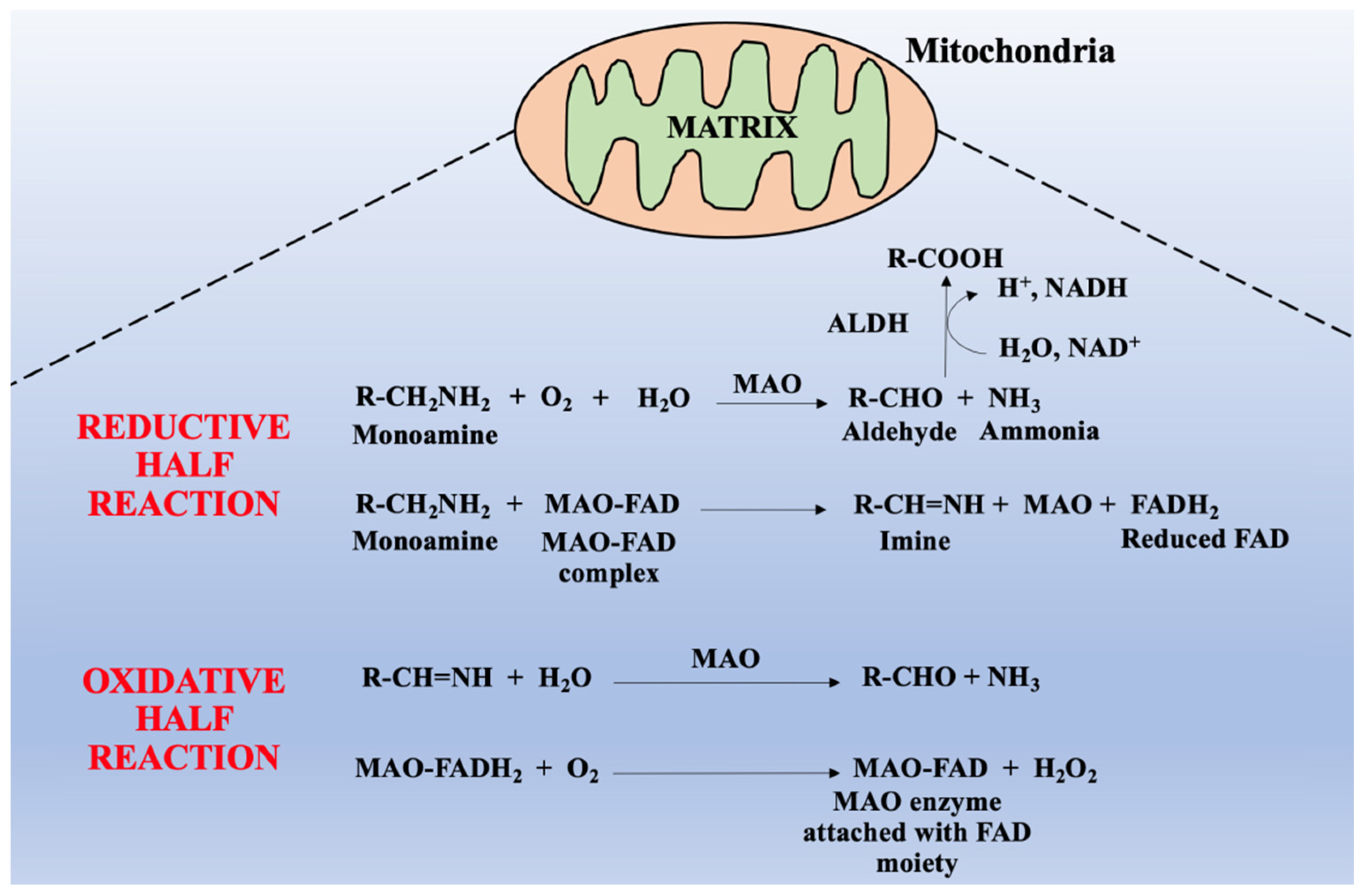 Molecules 26 03724 g002 Molecules 26 03724 g002