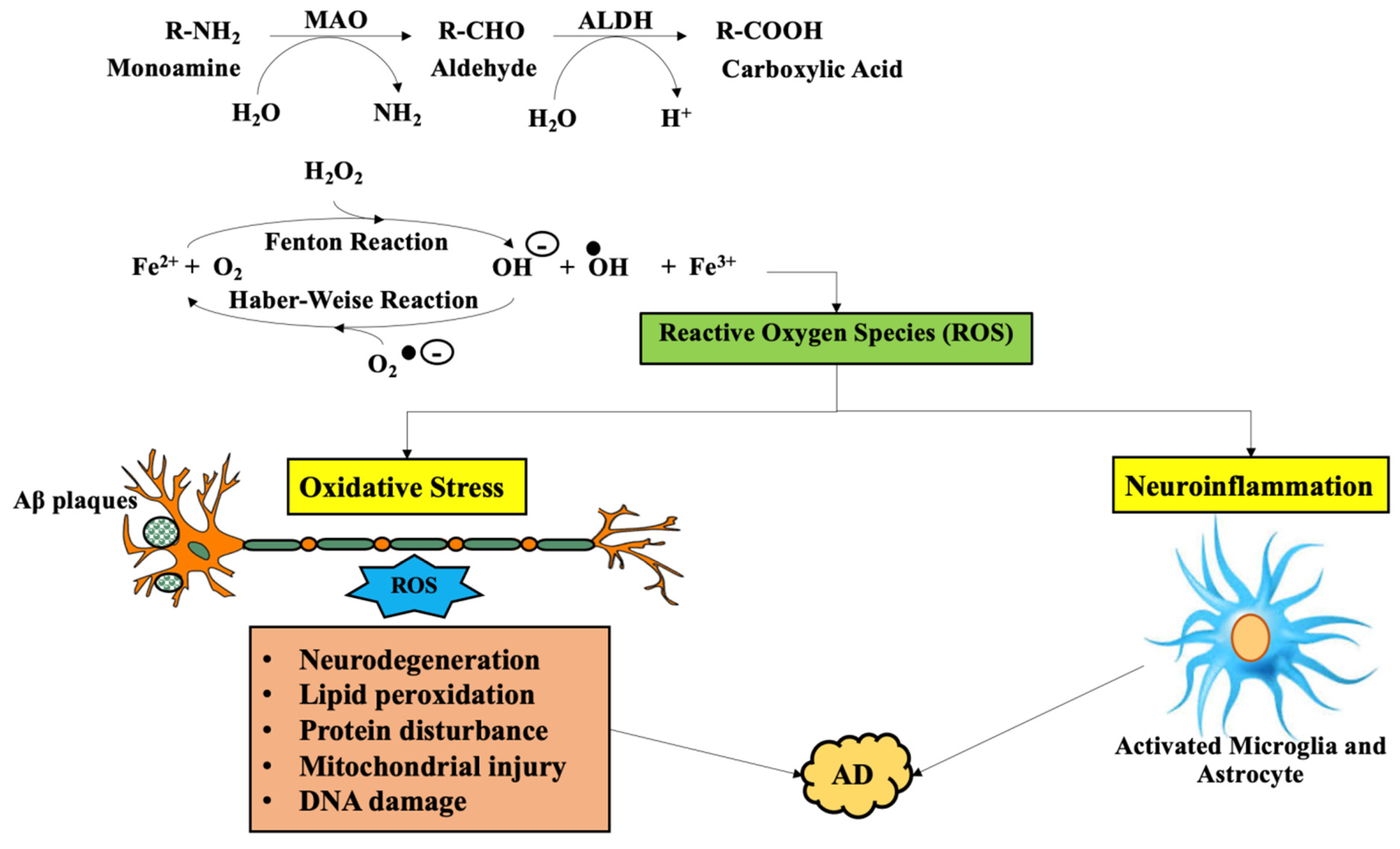 Molecules 26 03724 g003 Molecules 26 03724 g003