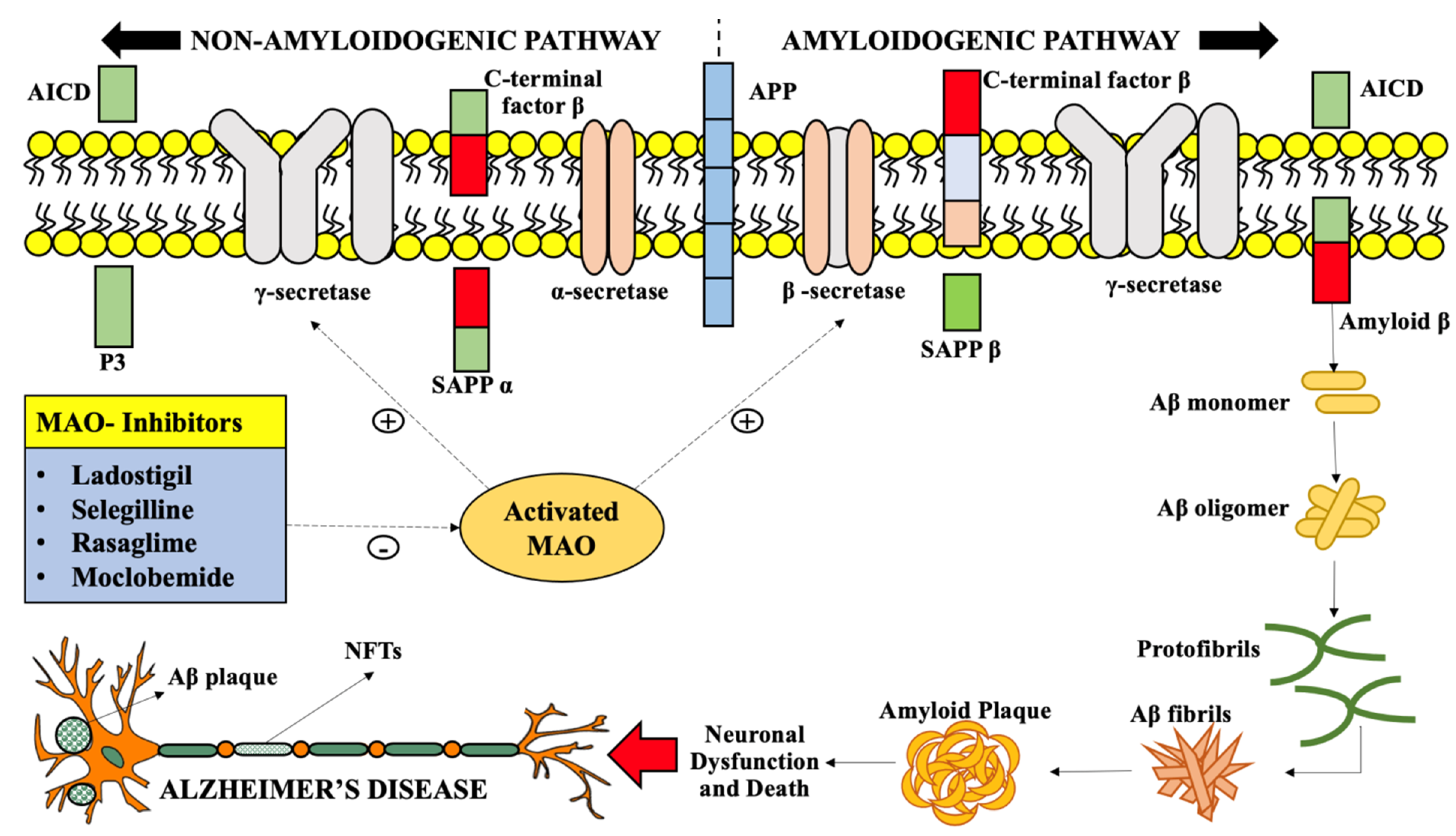 Molecules 26 03724 g004 Molecules 26 03724 g004