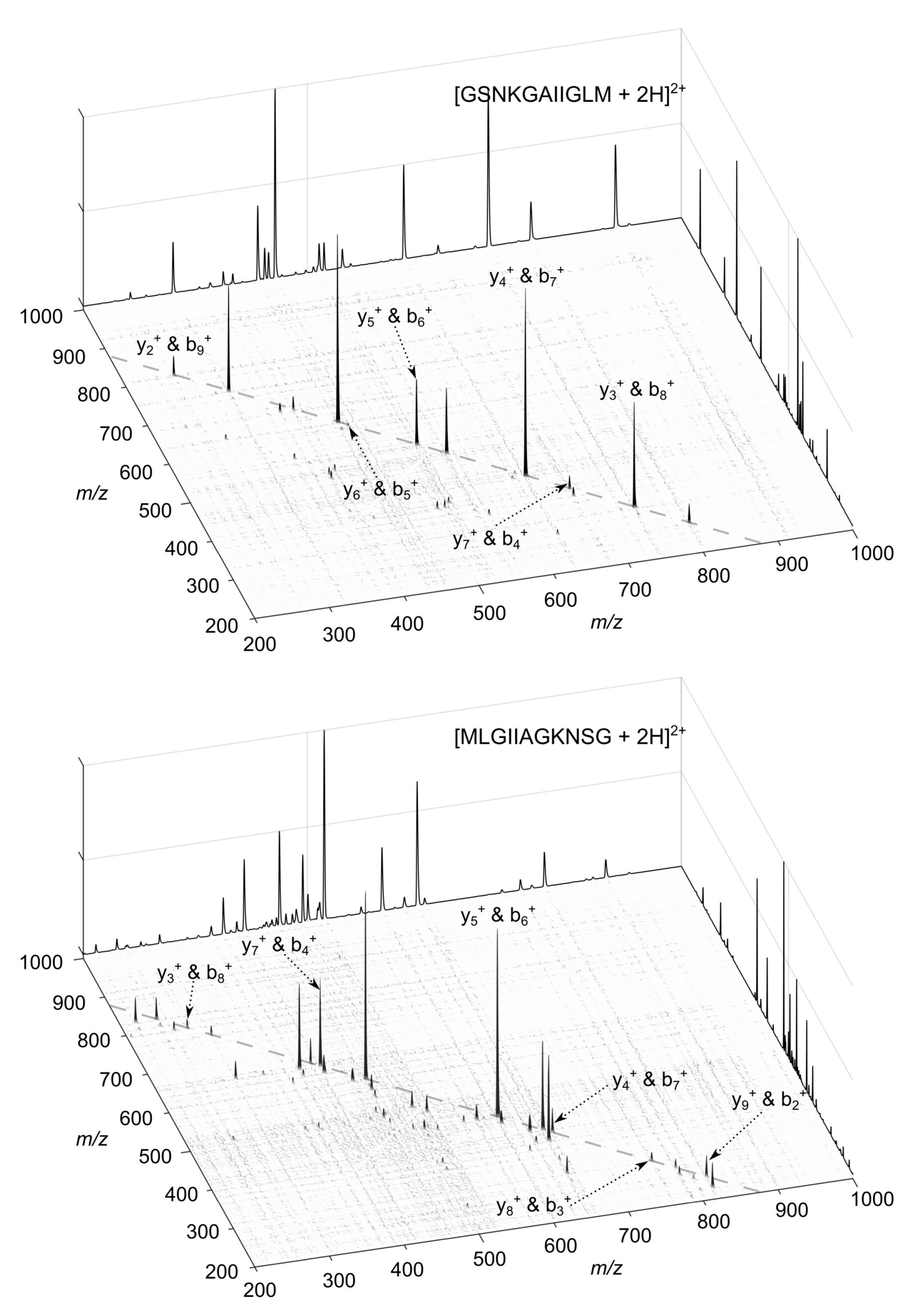 Molecules 26 03728 g001 Molecules 26 03728 g001