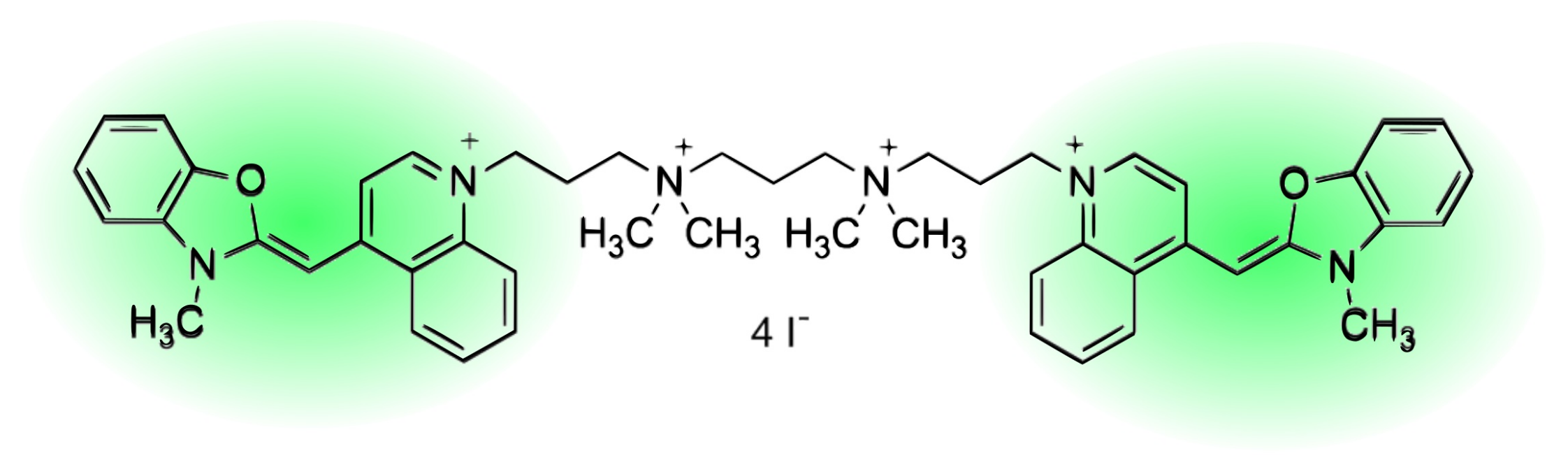 Molecules 26 03748 g001