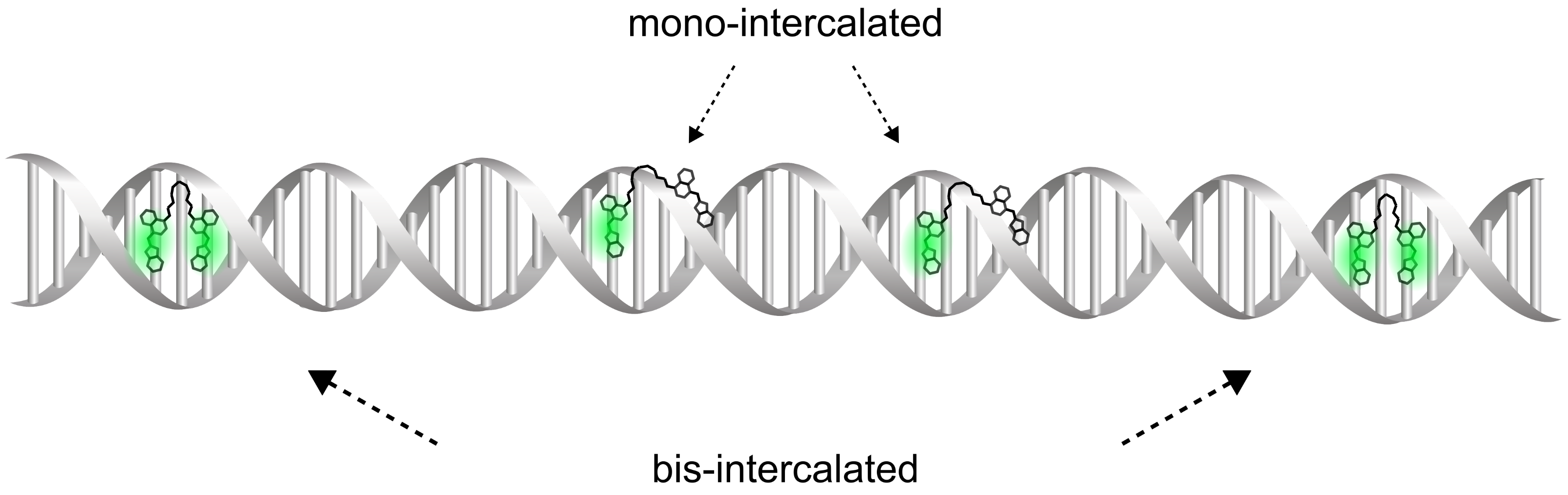 Molecules 26 03748 g002