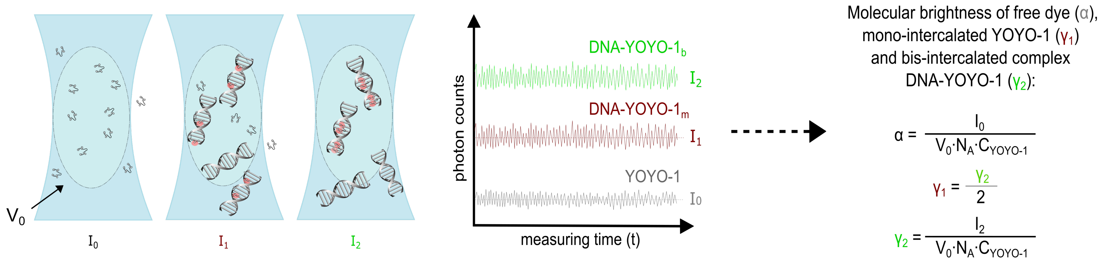 Molecules 26 03748 g005