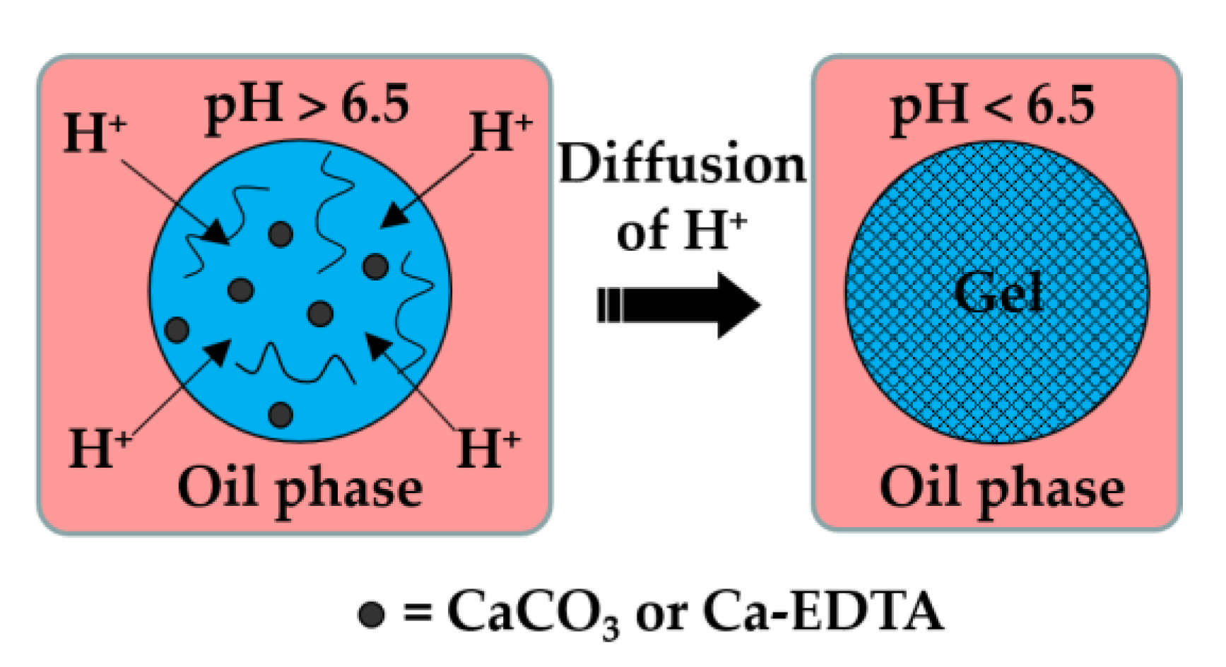 Molecules 26 03752 g001 Molecules 26 03752 g001